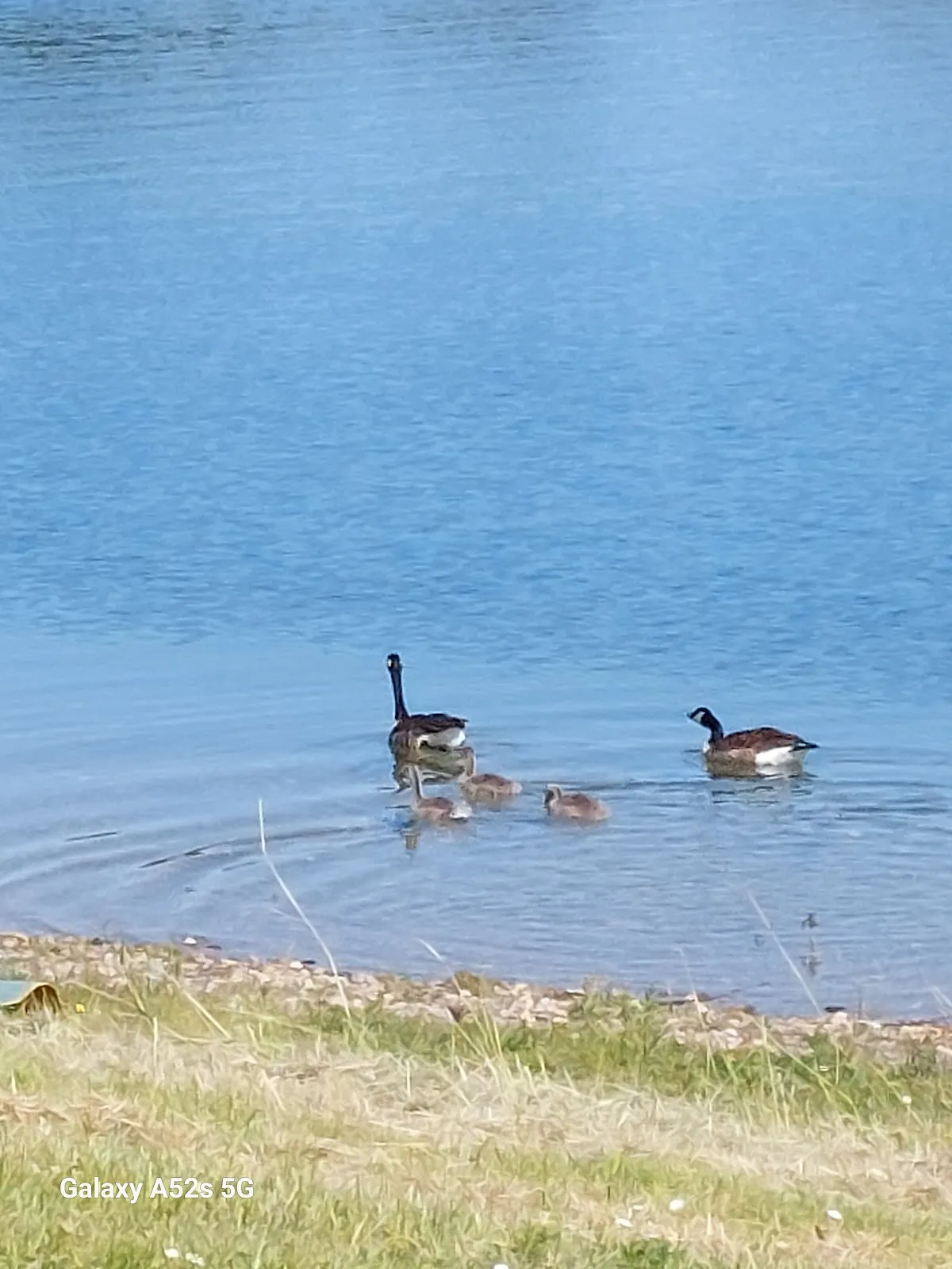 Пляж Аузее, озеро, купающиеся люди, водные виды спорта