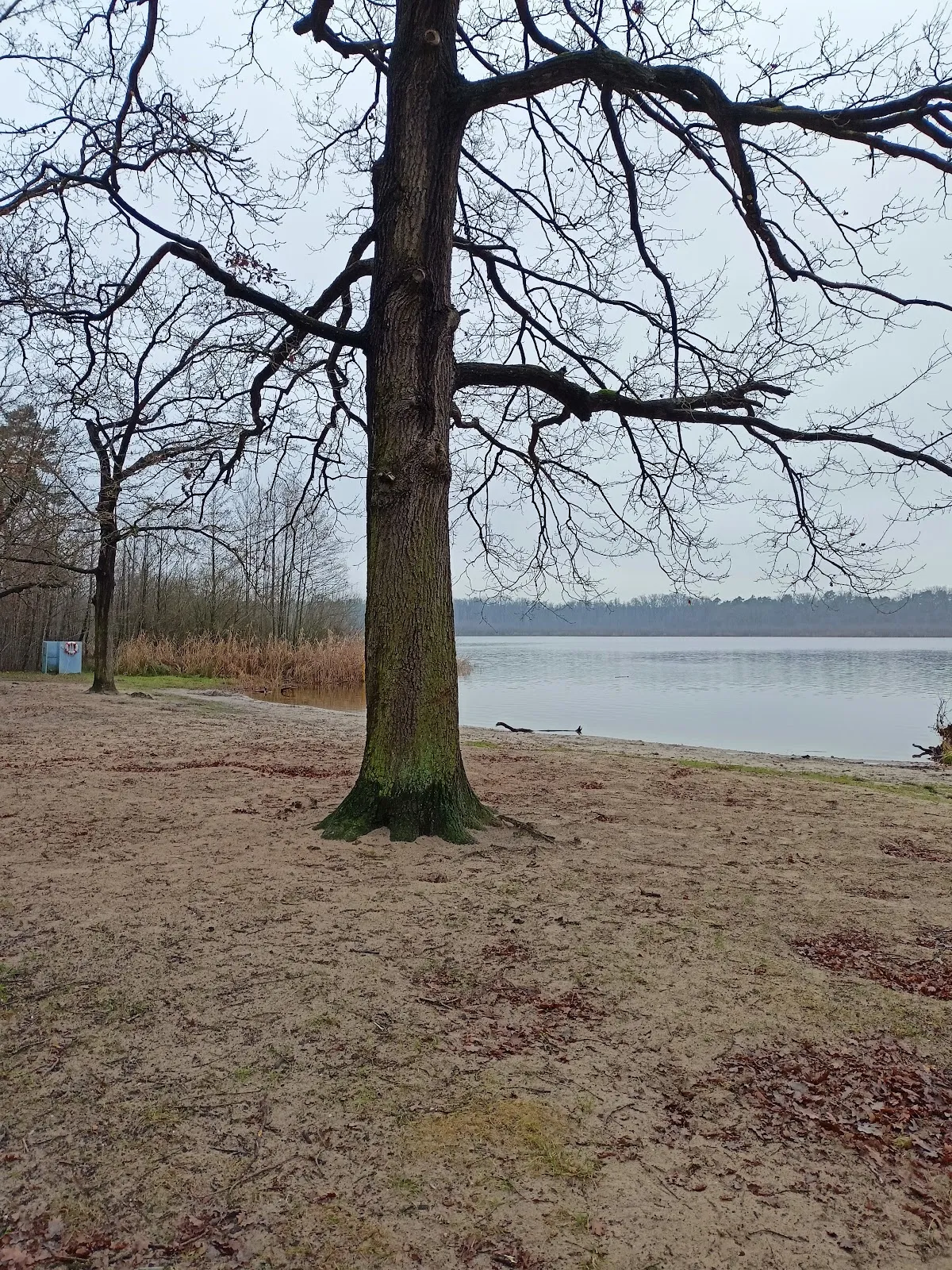 Пляж Гердэнзее с водой и зеленью