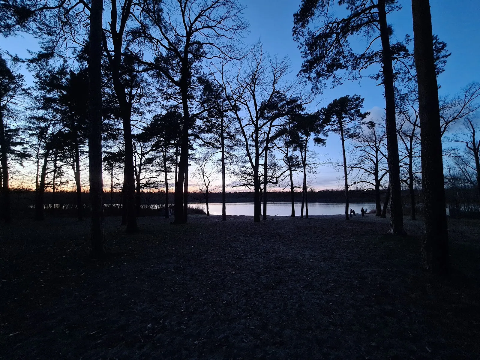 Пляж Гердэнзее с водой и зеленью