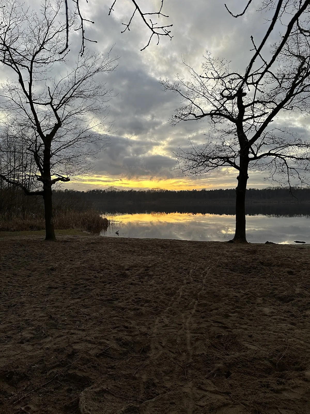 Пляж Гердэнзее с водой и зеленью