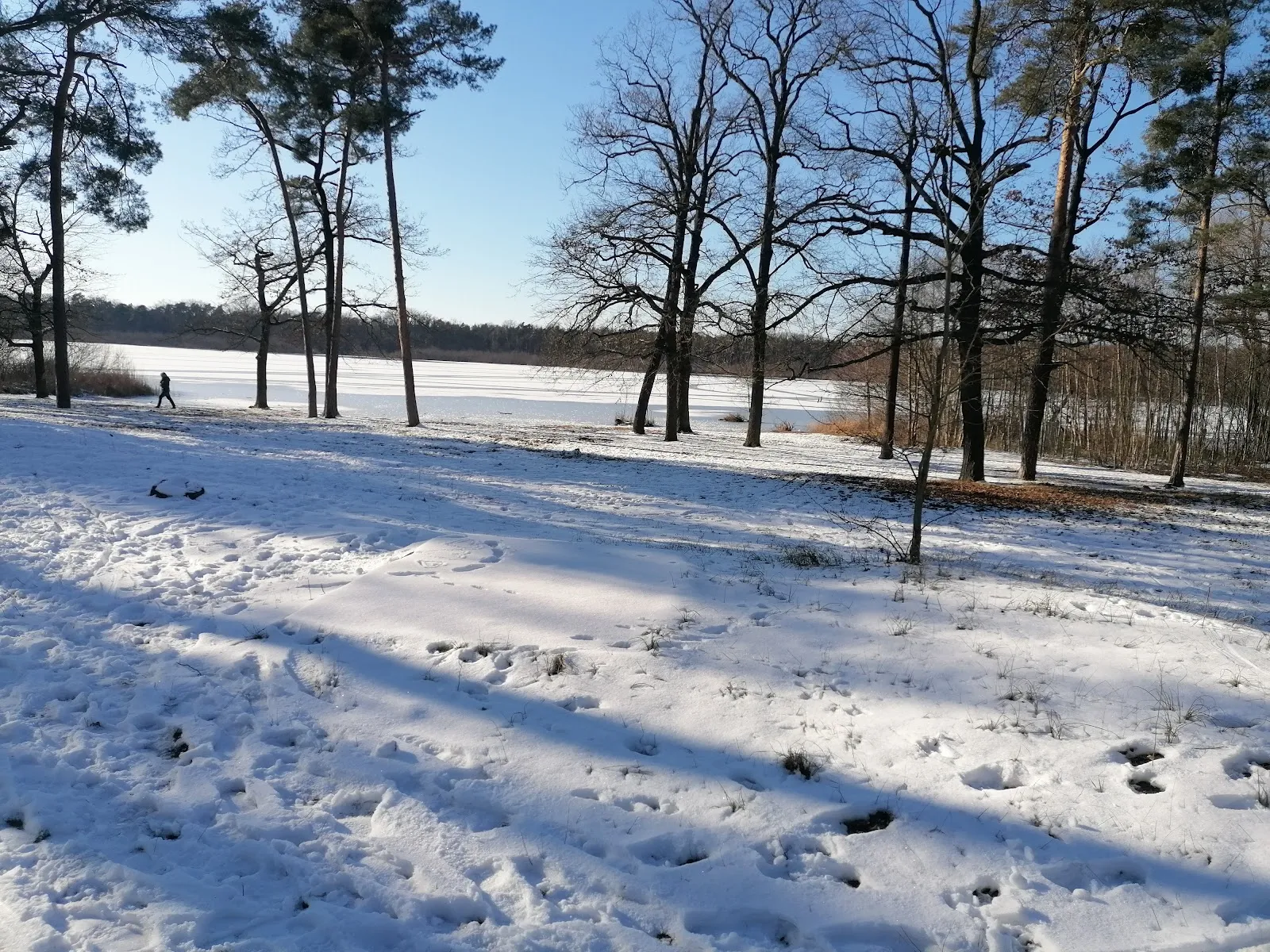 Пляж Гердэнзее с водой и зеленью