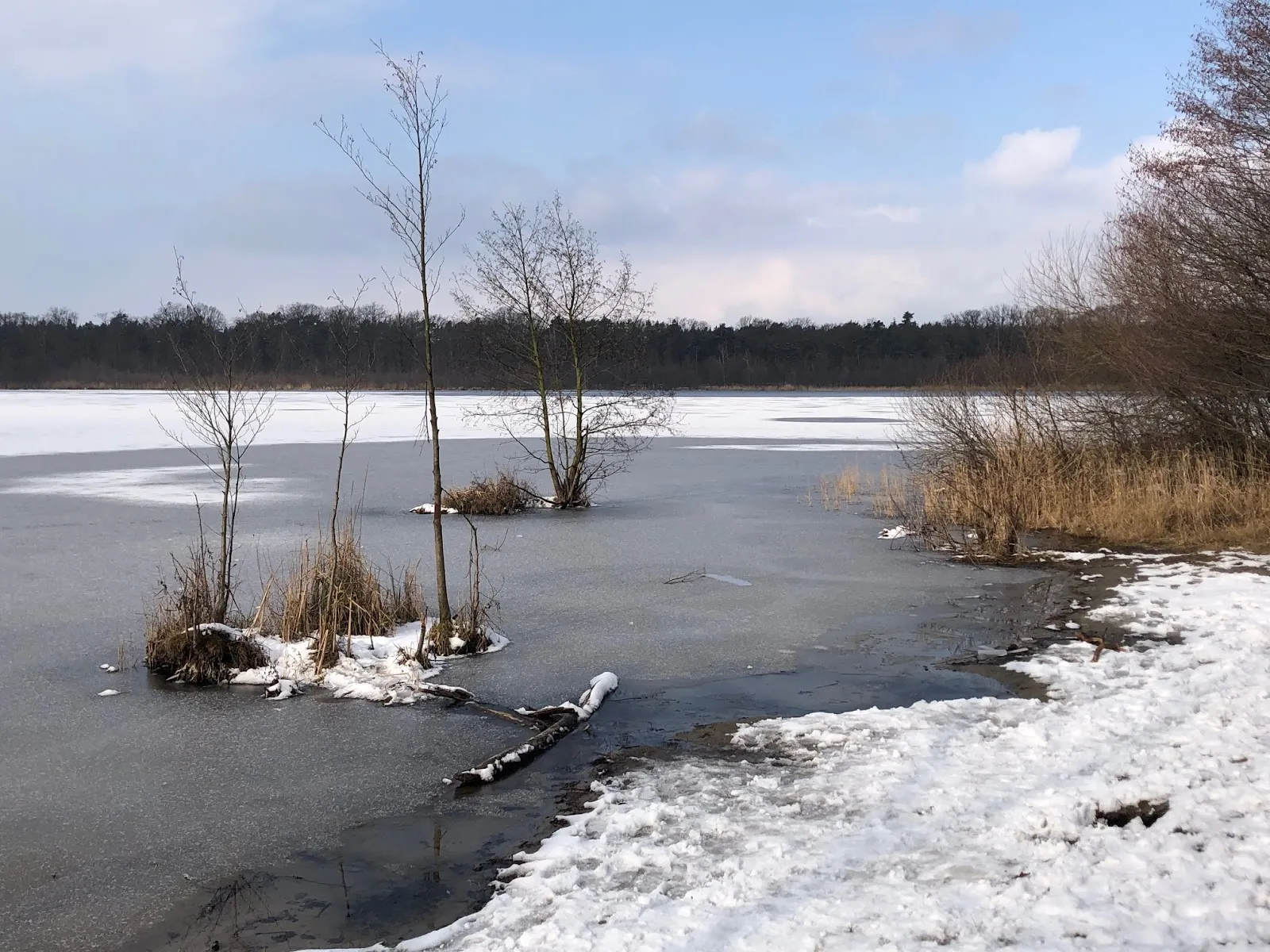 Пляж Гердэнзее с водой и зеленью
