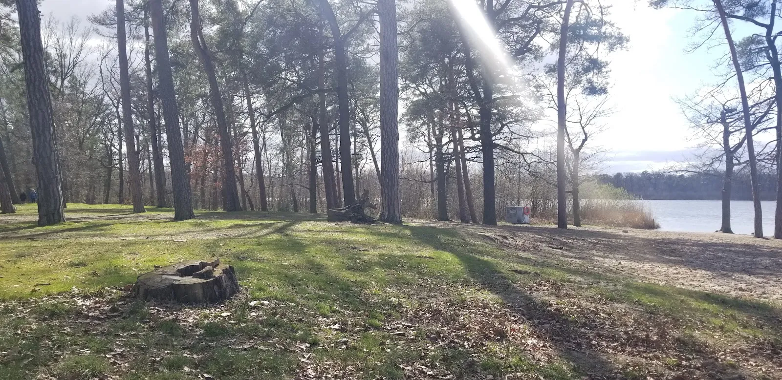 Пляж Гердэнзее с водой и зеленью