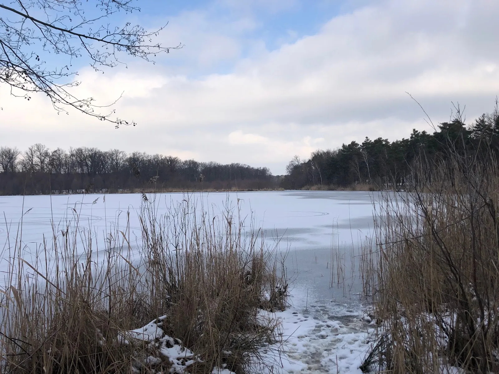 Пляж Гердэнзее с водой и зеленью