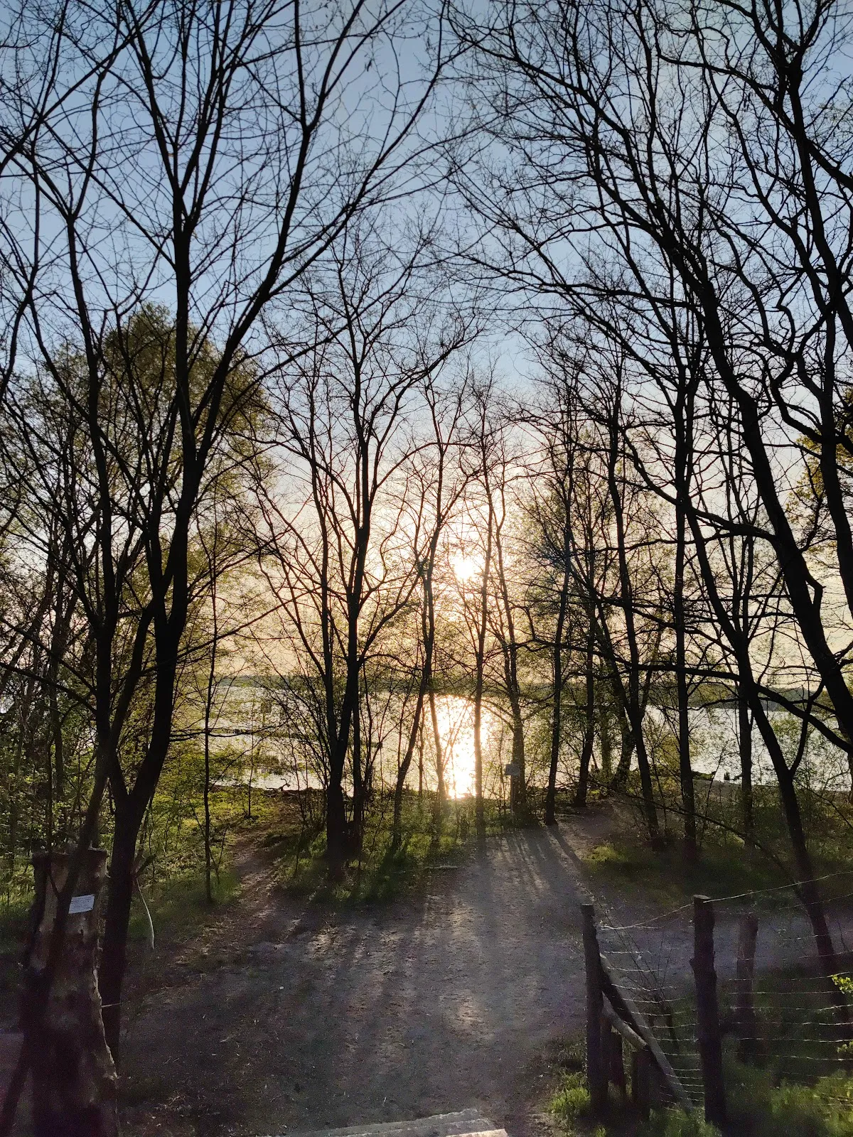 Пляж Гроссе Штайнланке в Берлине с людьми, отдыхающими на берегу у воды.