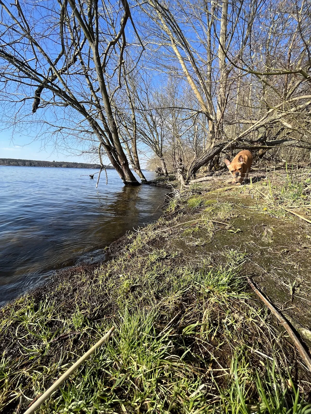 Пляж Гроссе Штайнланке в Берлине с людьми, отдыхающими на берегу у воды.