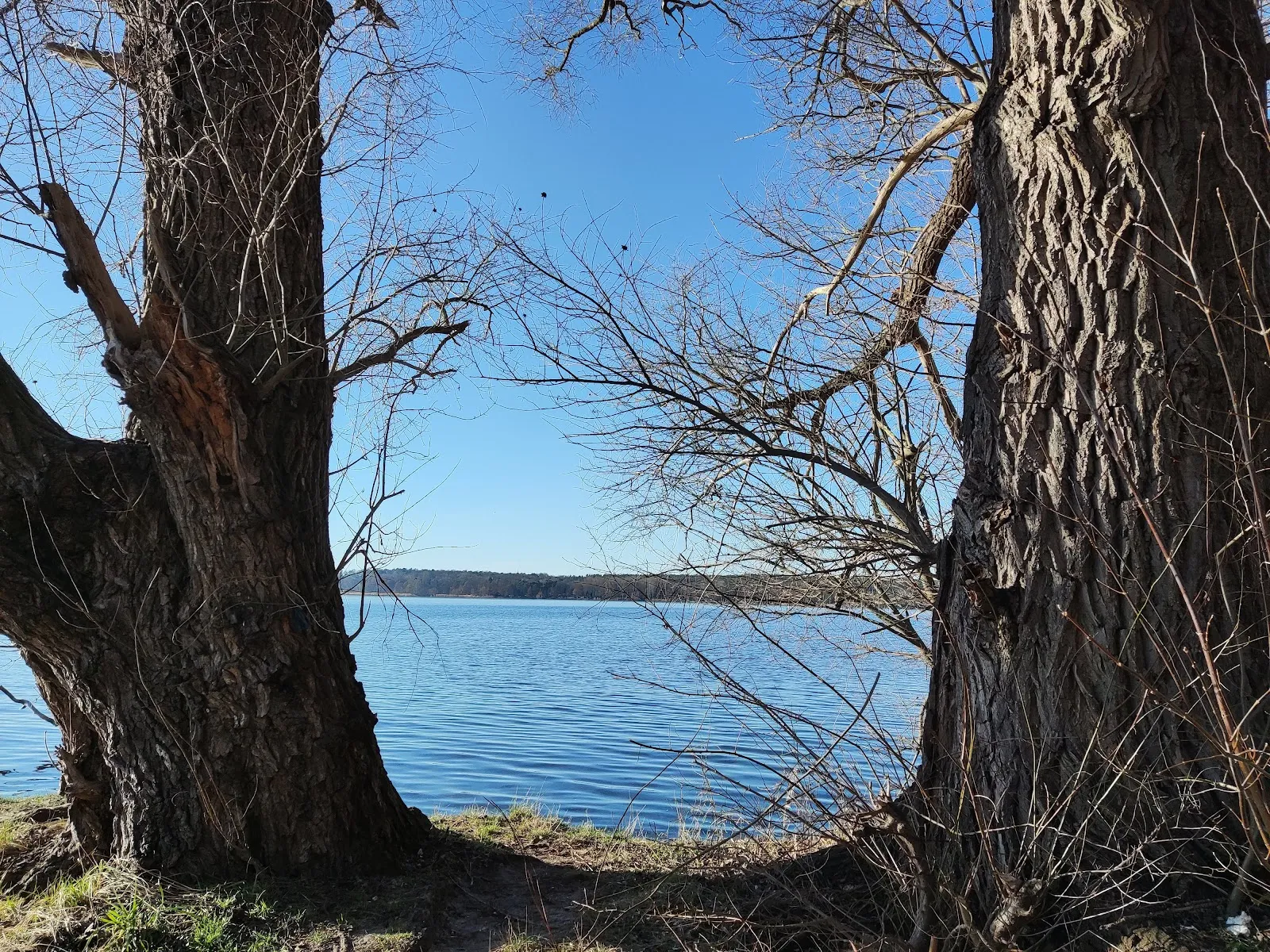Пляж Гроссе Штайнланке в Берлине с людьми, отдыхающими на берегу у воды.