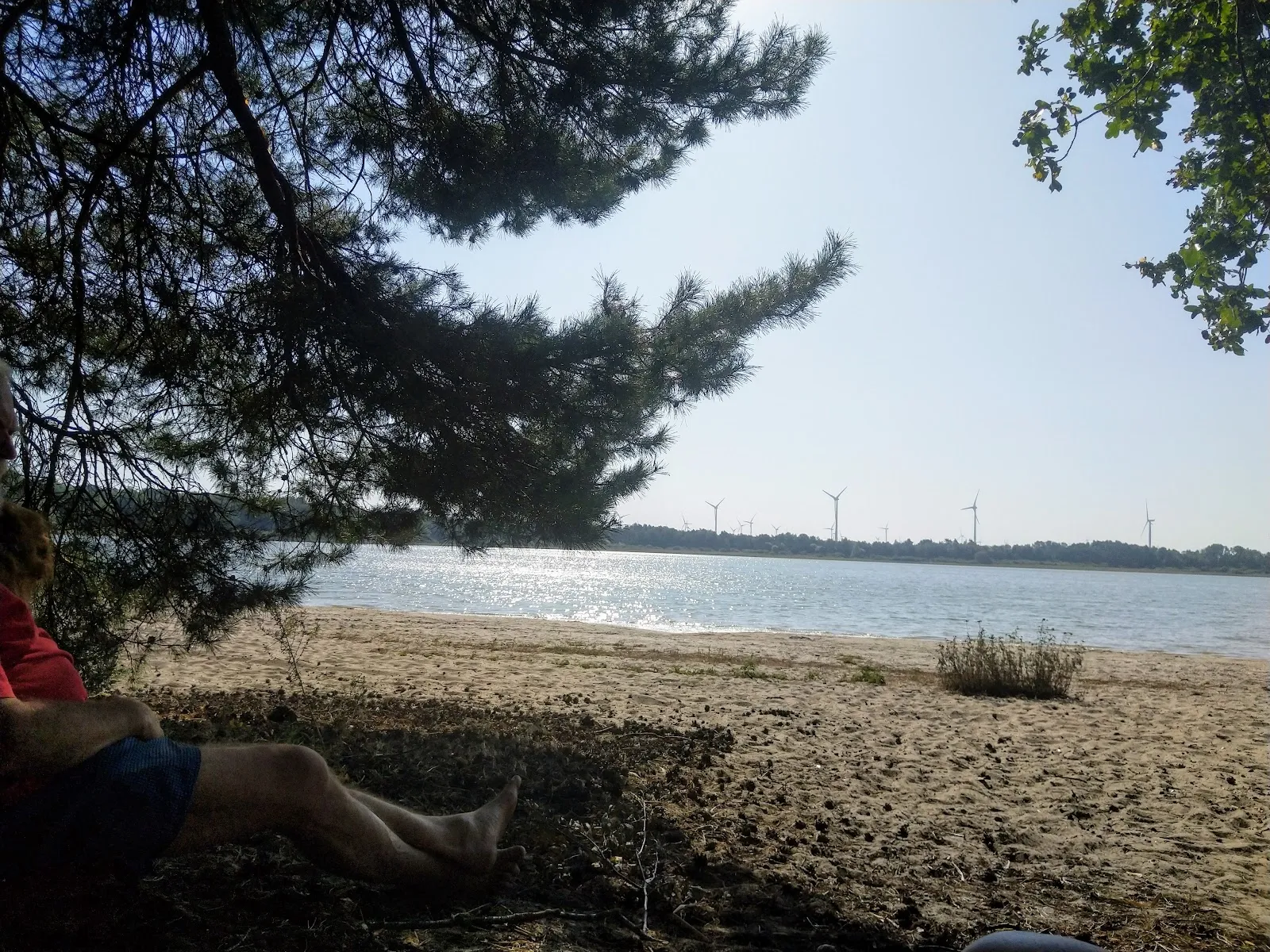 Пляж Трептовзее с чистой водой и зеленью вокруг.