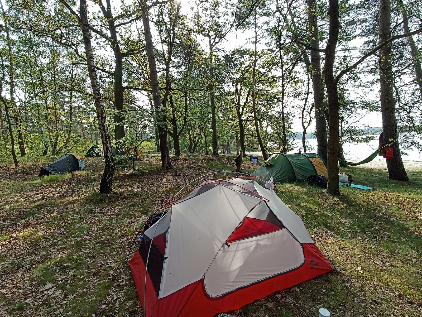 Пляж Трептовзее с чистой водой и зеленью вокруг.