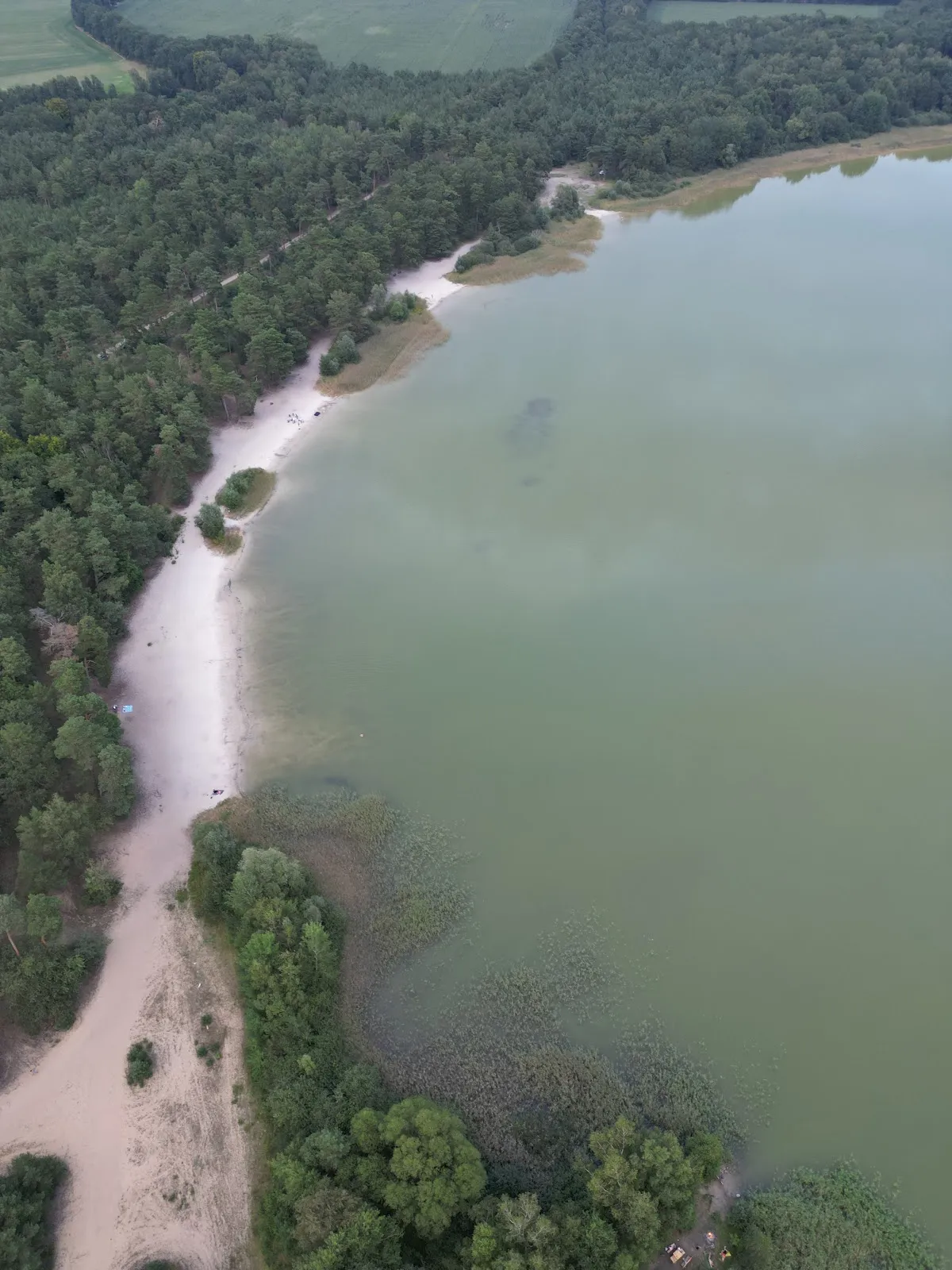 Пляж Трептовзее с чистой водой и зеленью вокруг.