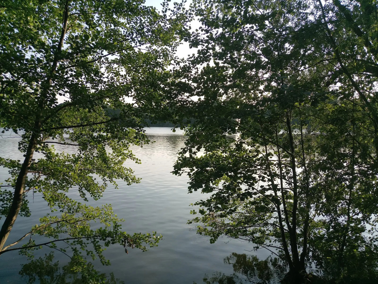 Пляж Вайсензее с людьми, загорающими и купающимися в озере.