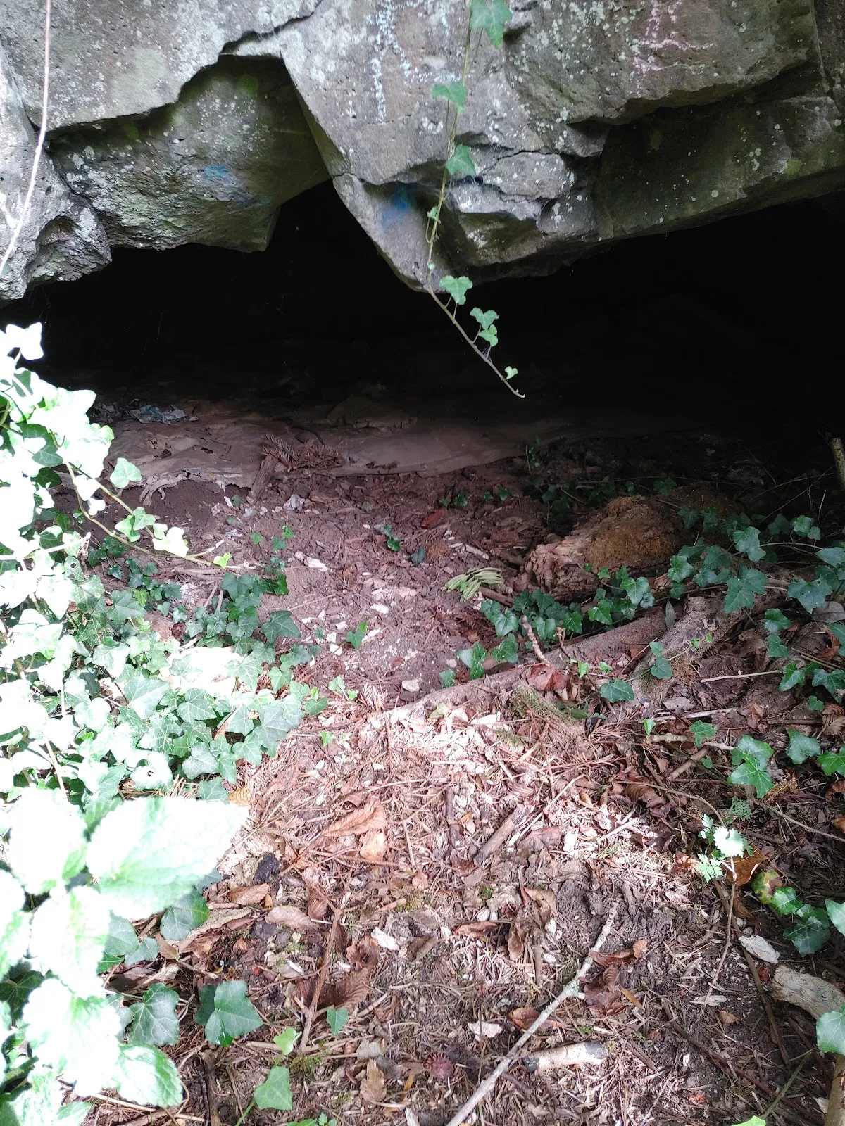 Подвал Дикельсмюле