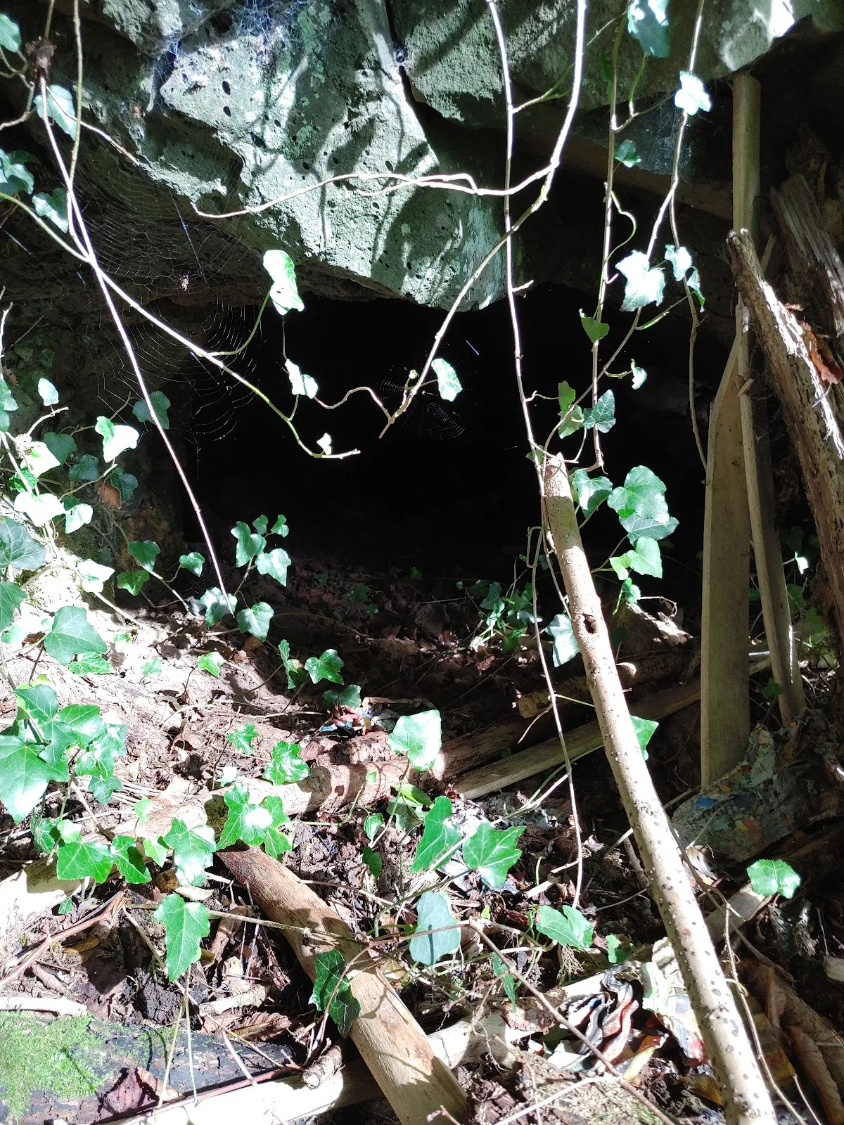 Вход в средневековые подземелья Грюнберга