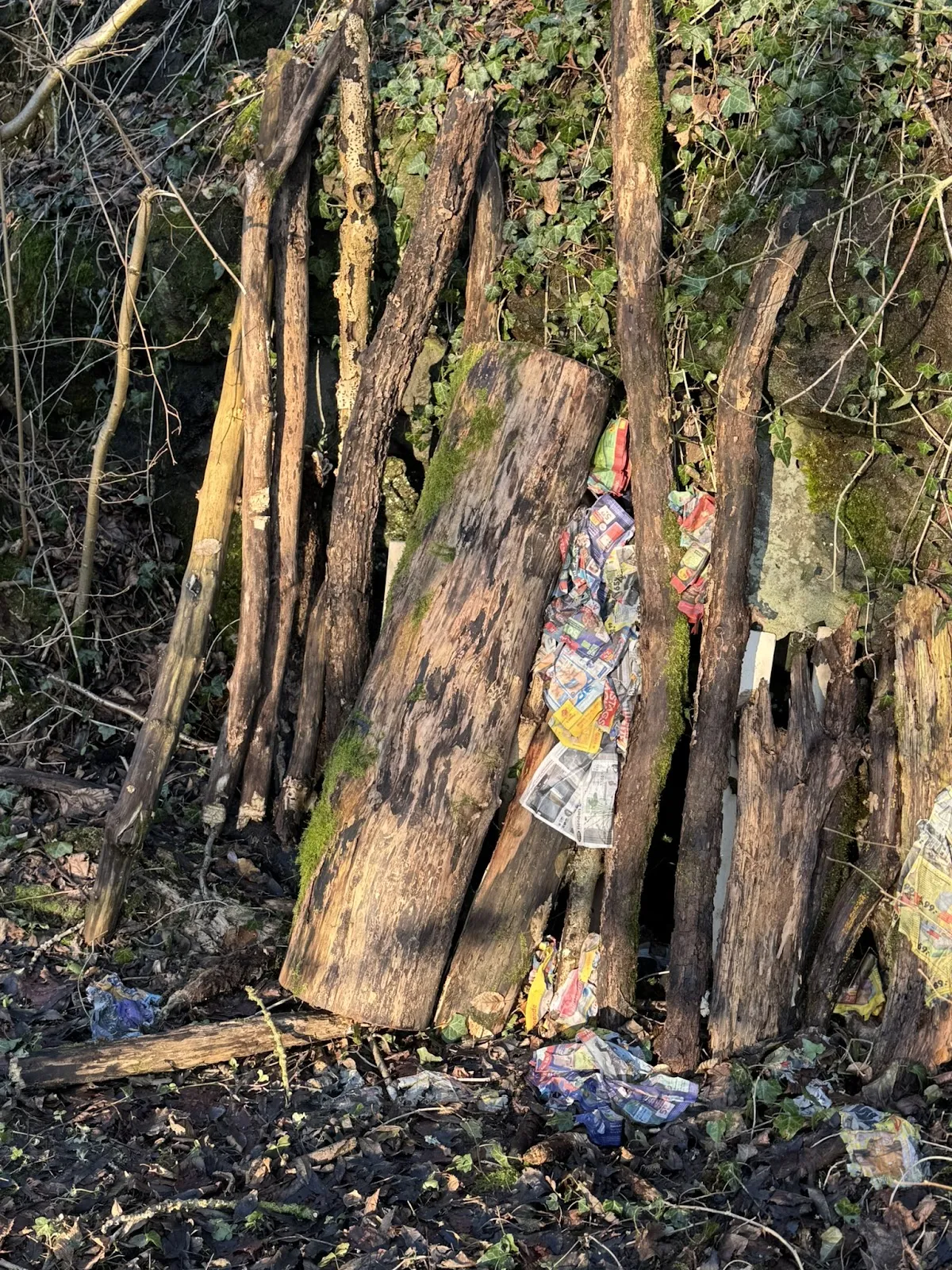 Вход в средневековые подземелья Грюнберга