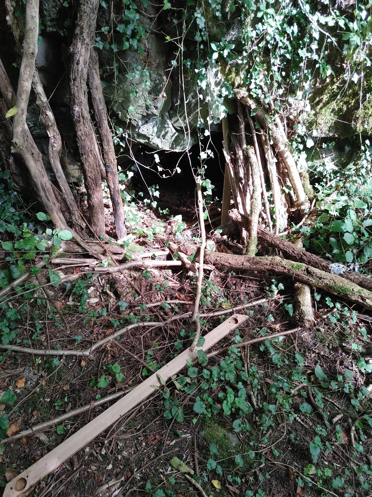 Вход в средневековые подземелья Грюнберга