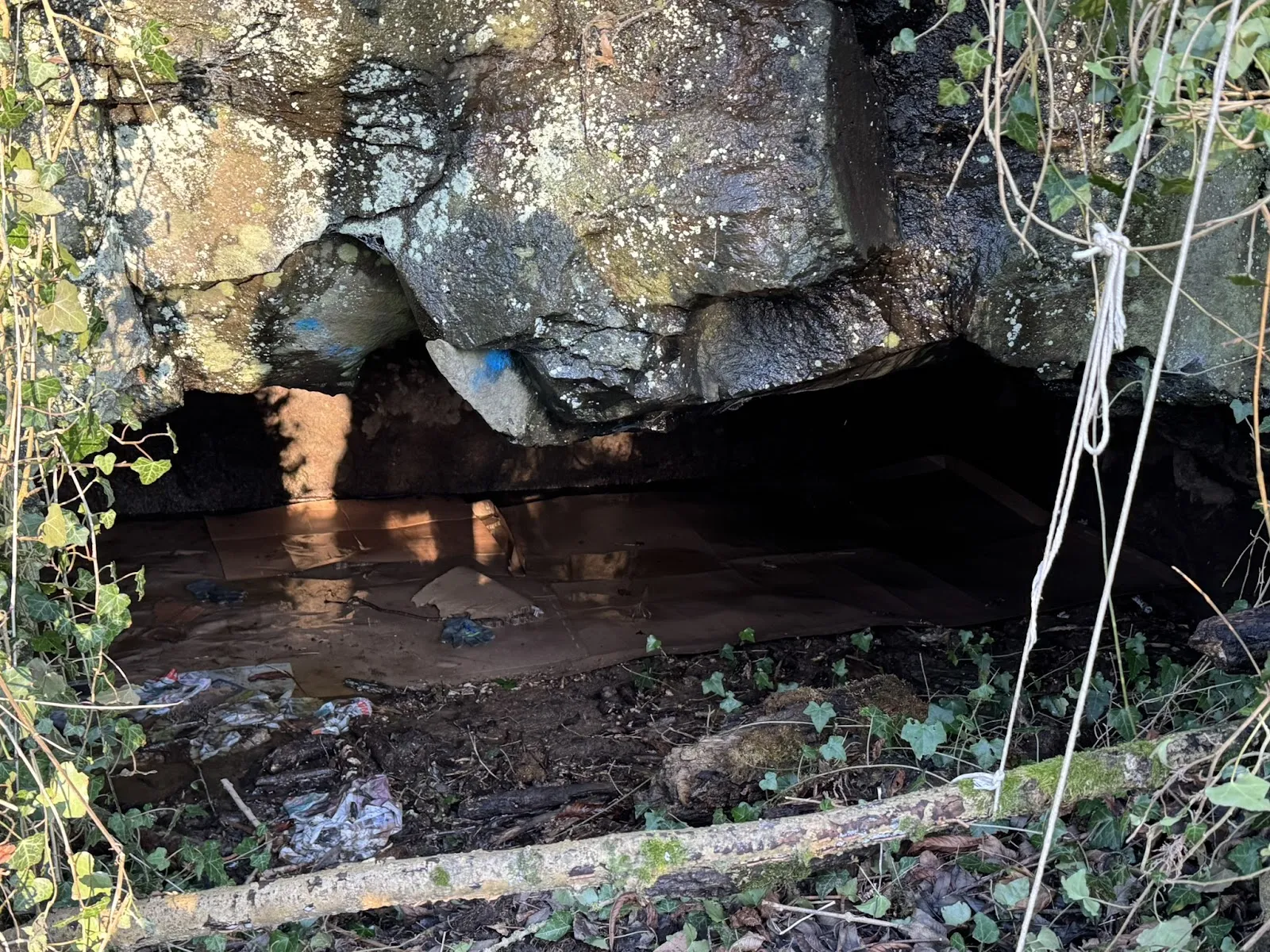 Вход в средневековые подземелья Грюнберга