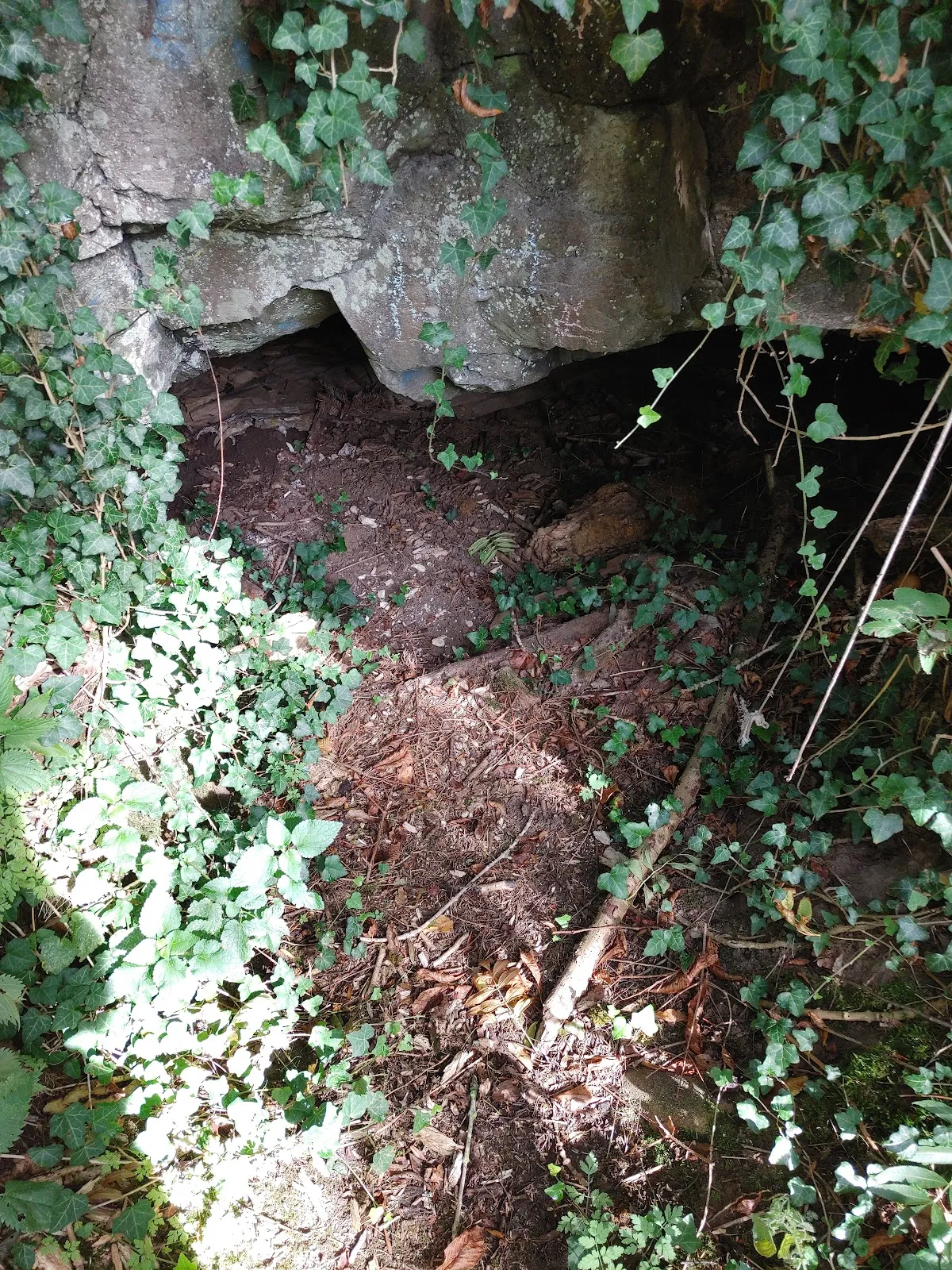 Вход в средневековые подземелья Грюнберга