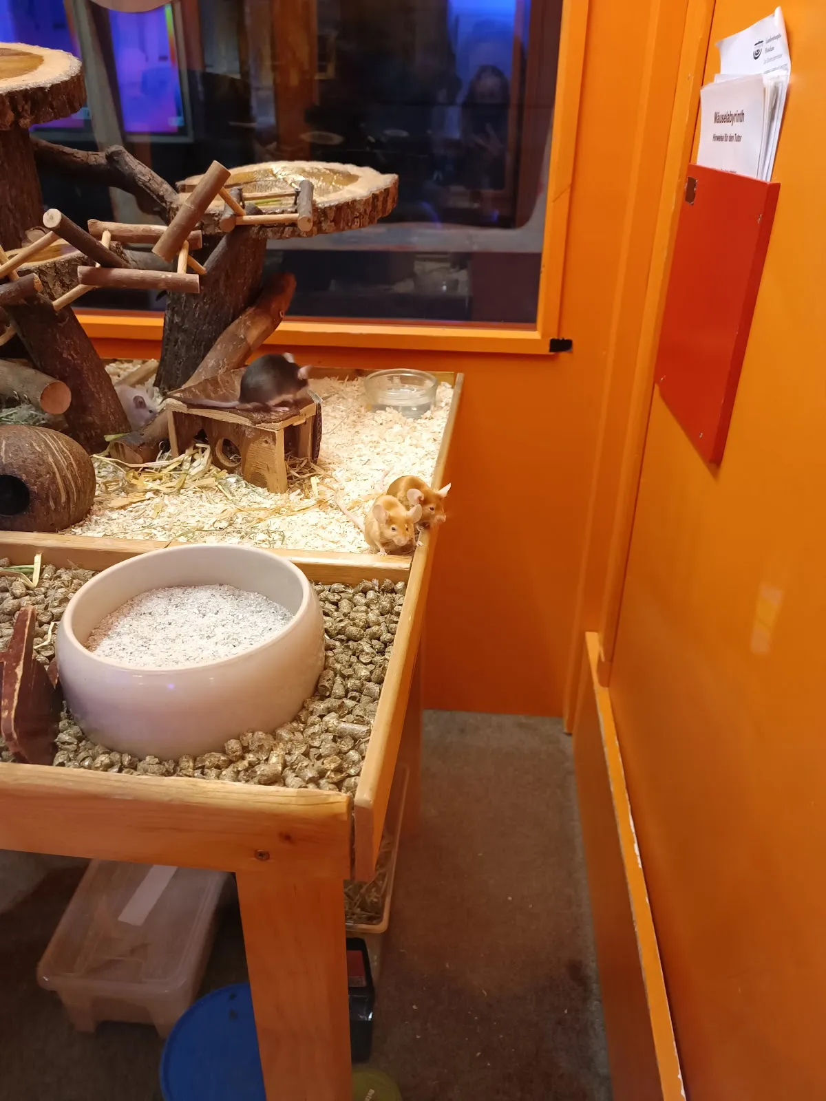 Здание музея NANO в Потсдаме