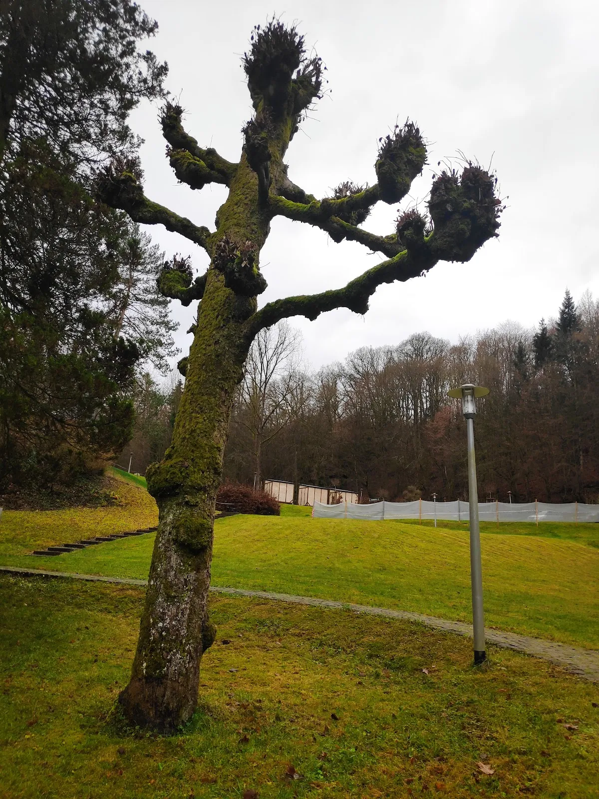 Фасад приходского и монастырского храма Святого Георгия в Зельбахе