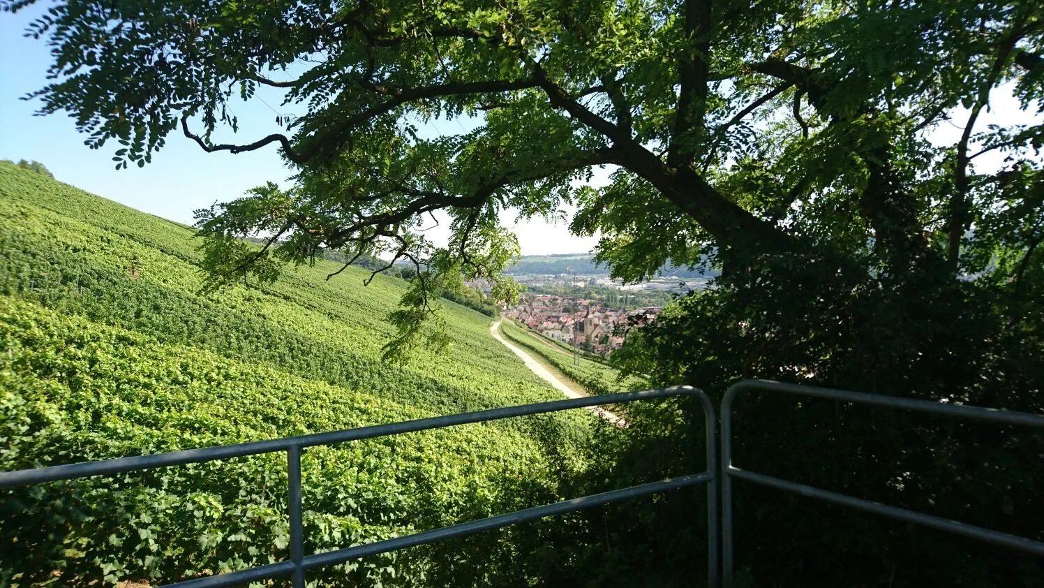 Природный памятник Даутенфельс