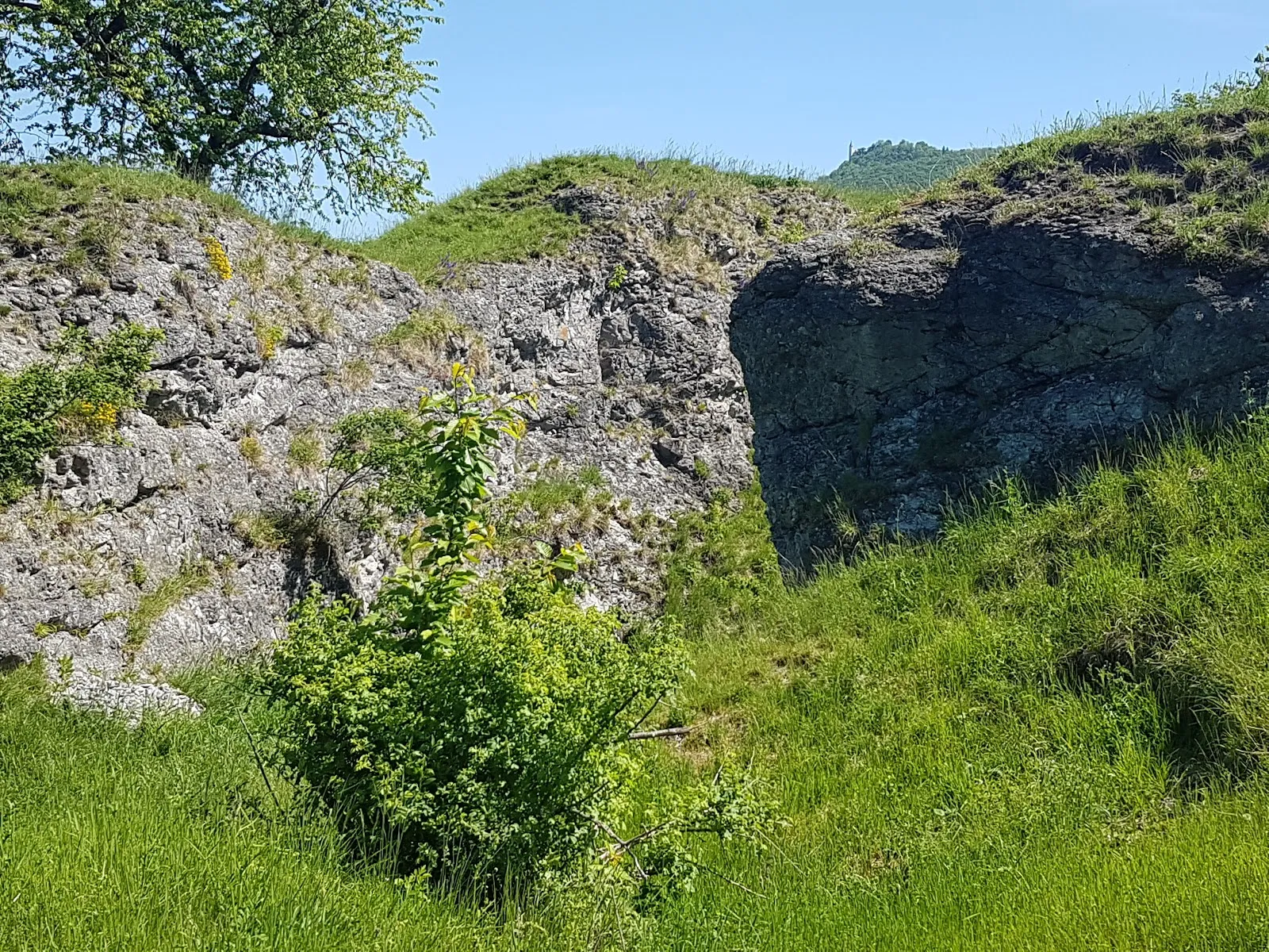 Природный памятник 