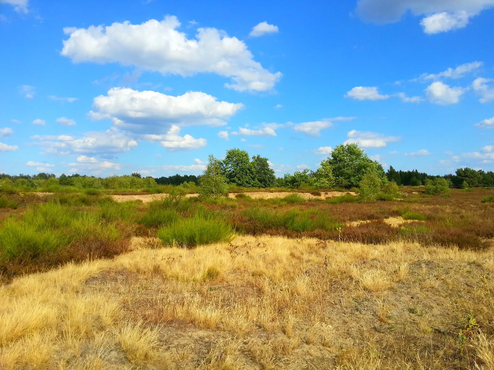 Природный парк Дёберитцер Хайде