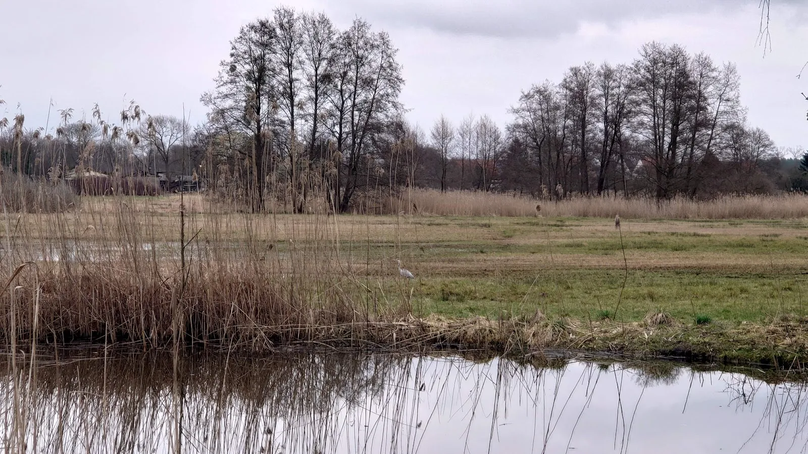 Природный парк Нуте-Ниплиц