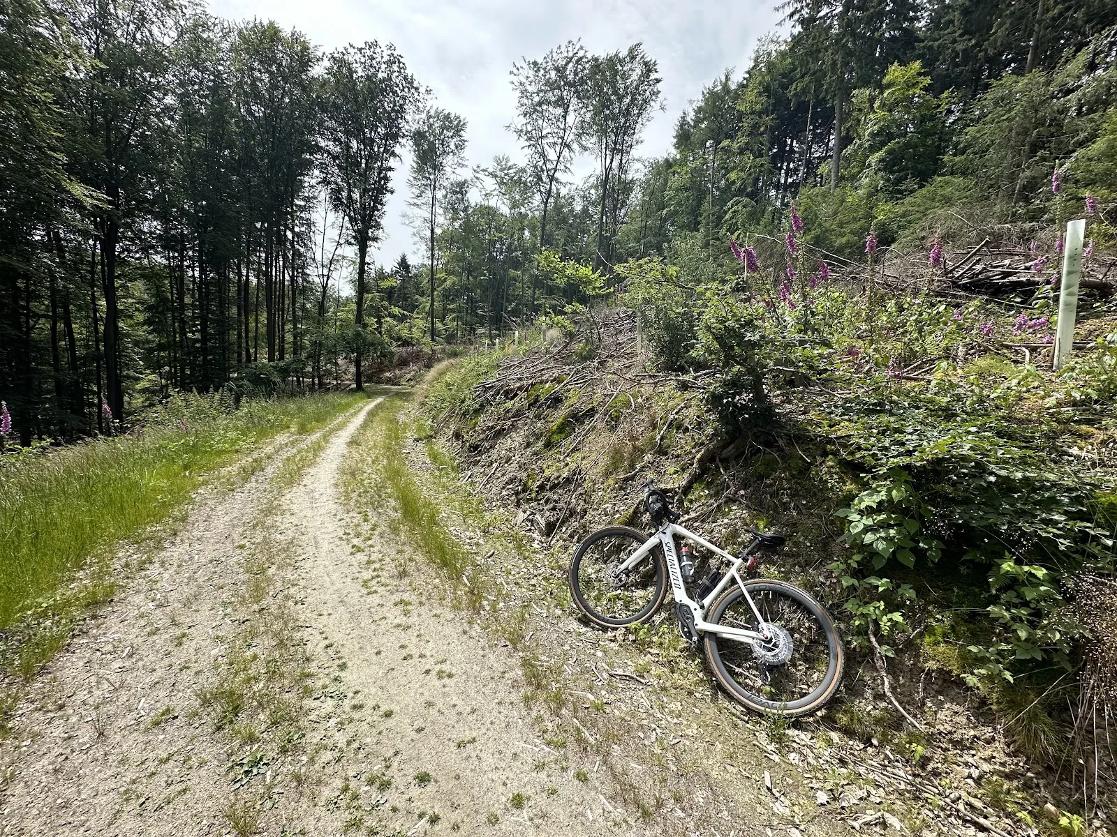 Природный парк Рейн-Таунус