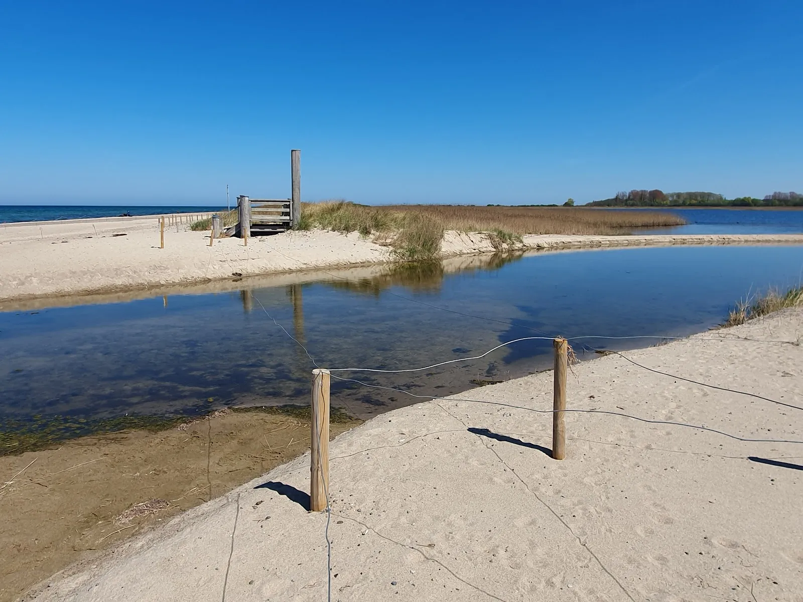 Природный заповедник Ридензее