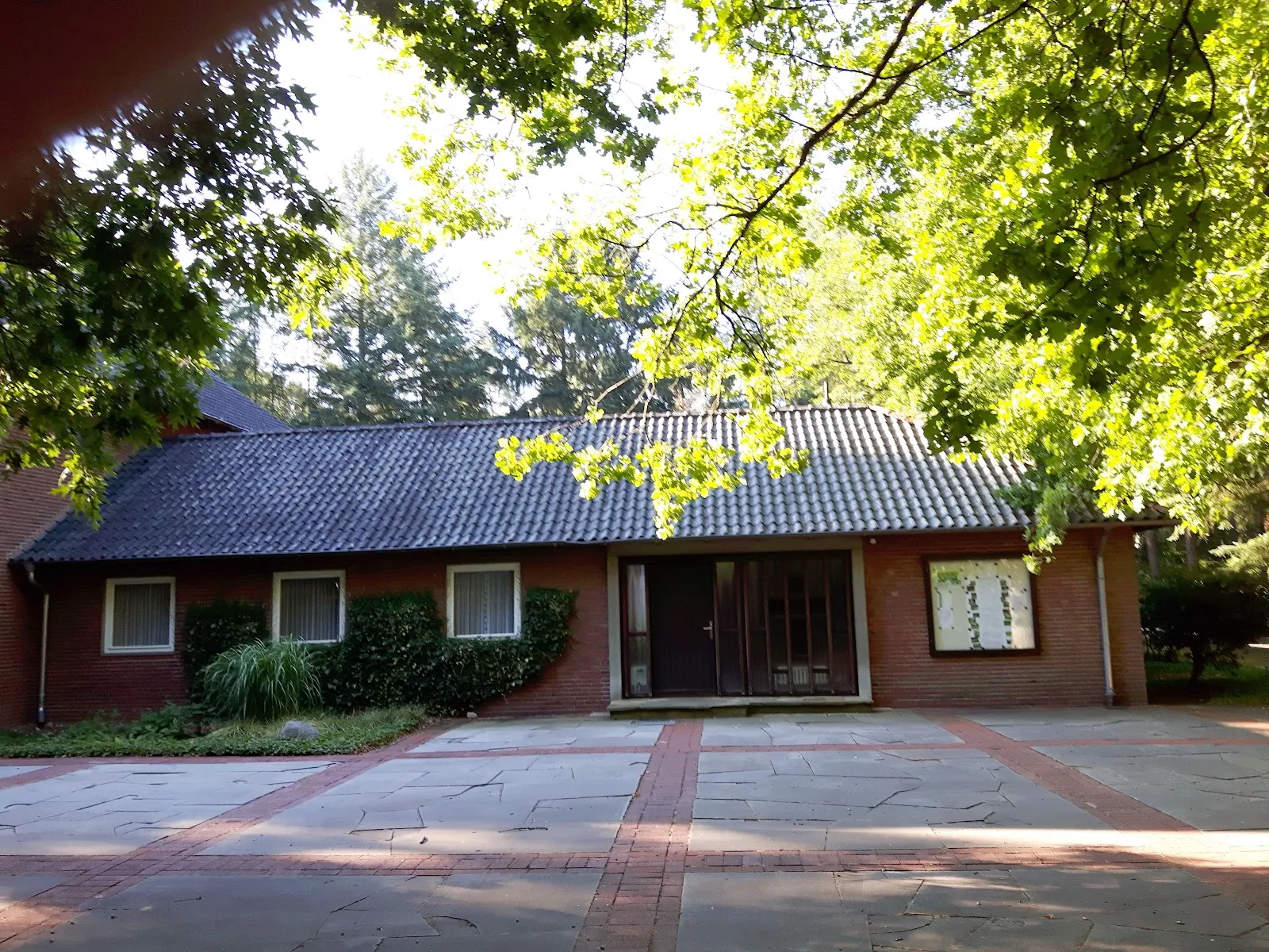 Вид на Пруд Энтетайх с деревьями и водой