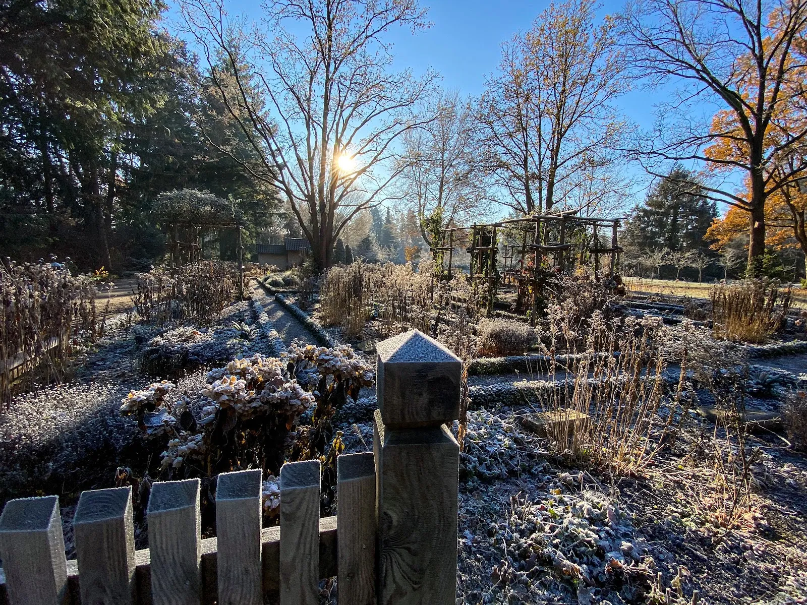 Вид на Пруд Энтетайх с деревьями и водой