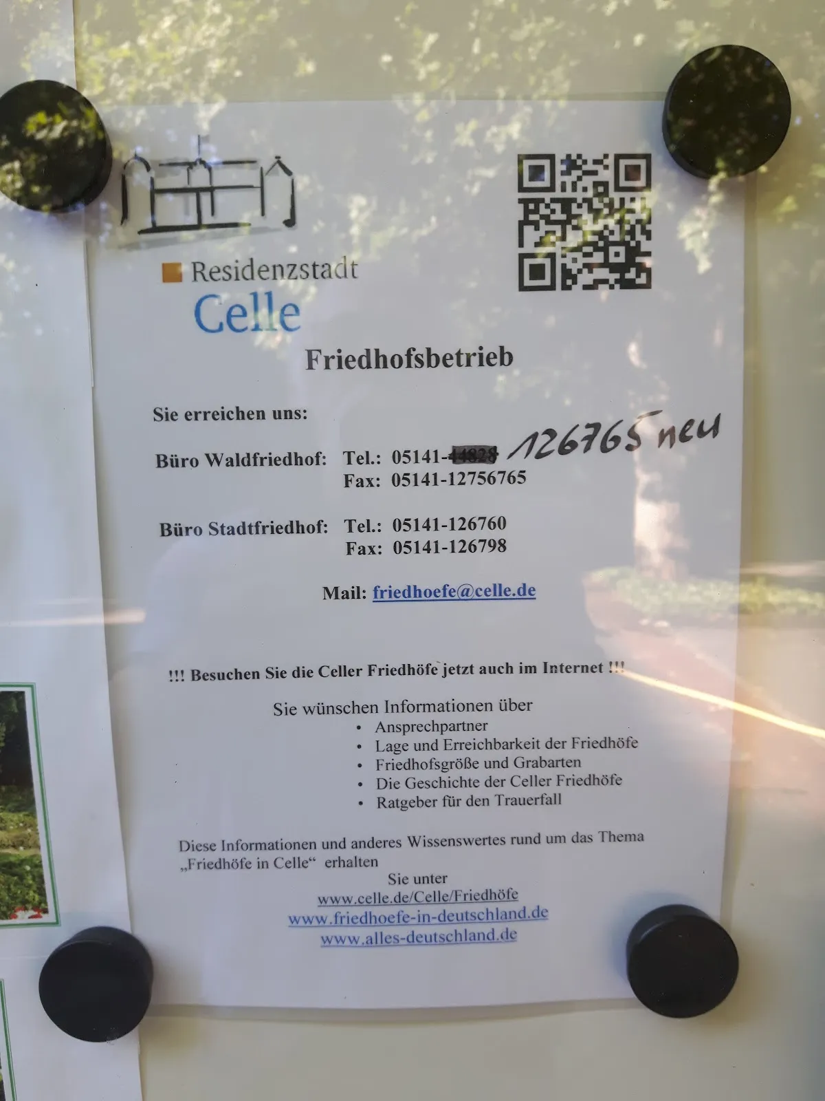 Вид на Пруд Энтетайх с деревьями и водой