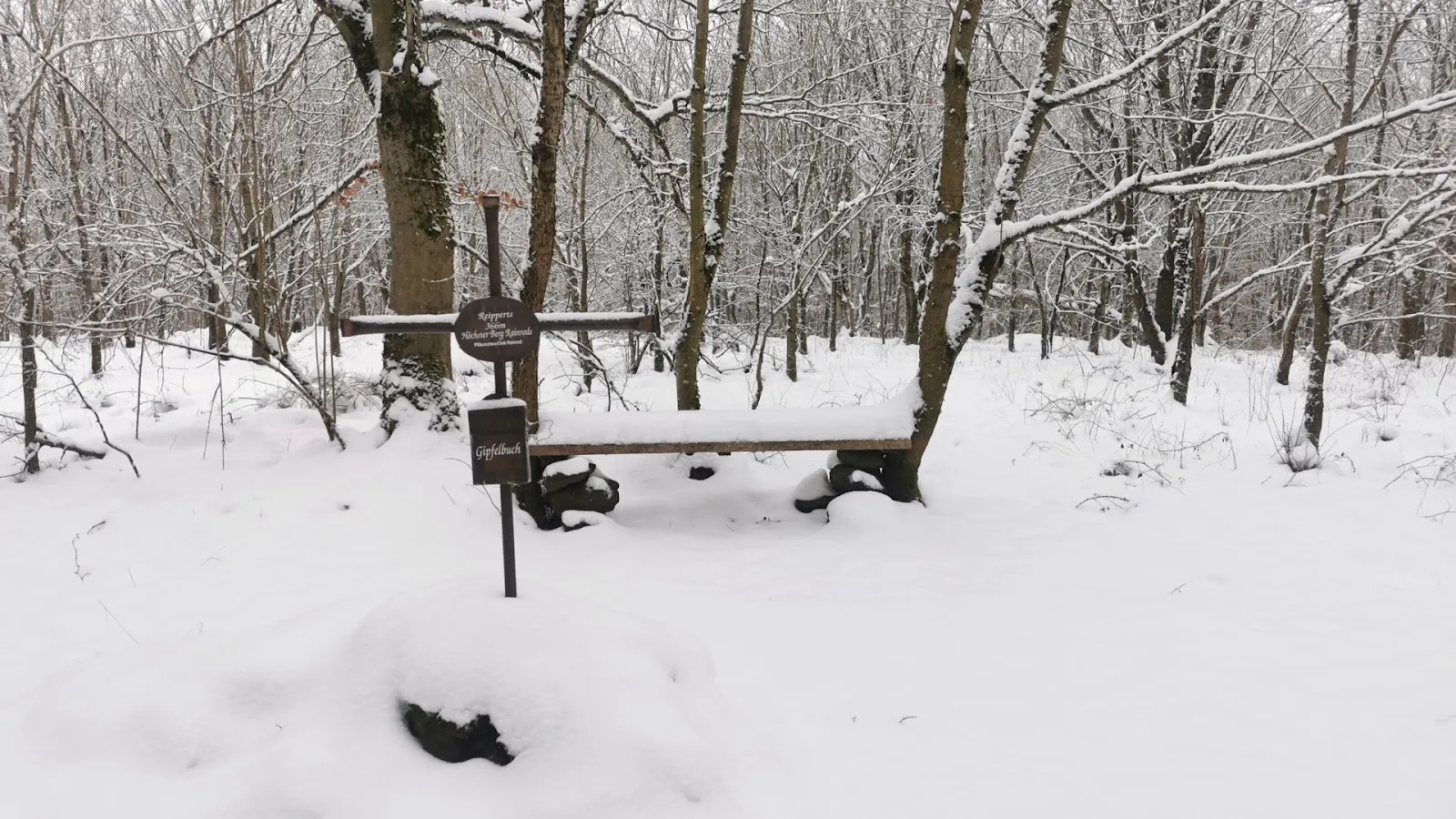 Панорамный вид с горы Райпертс на окружающую местность