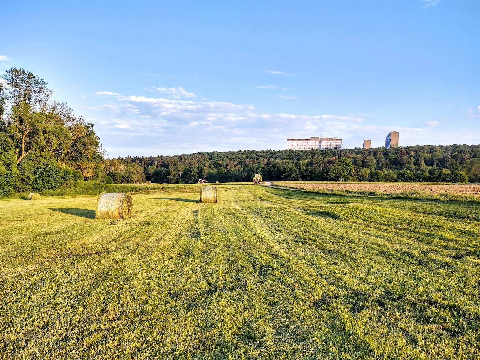 Рамсбахталь