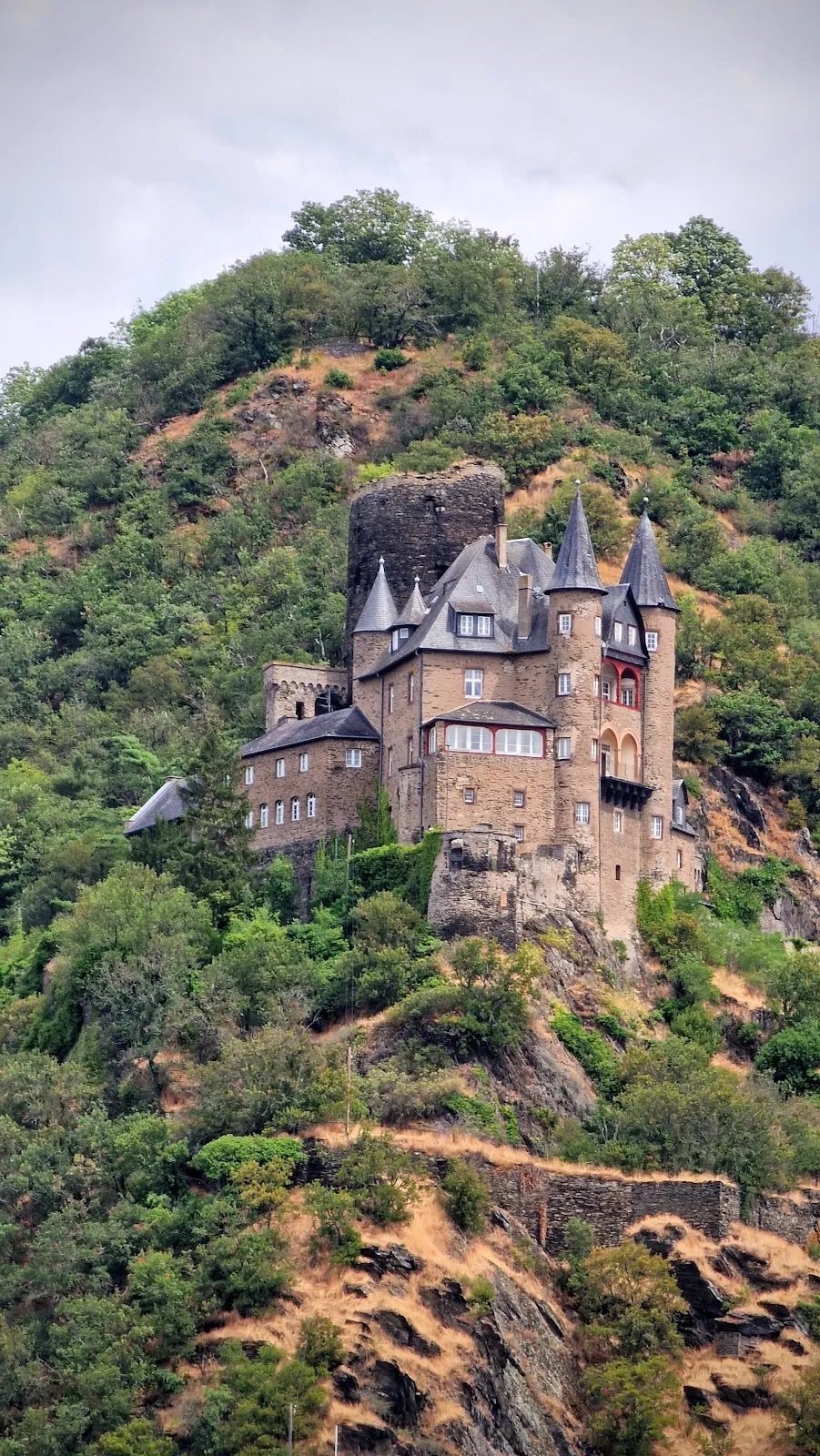 Вид на замок на Рейне, часть Тропы Рейнских Замков