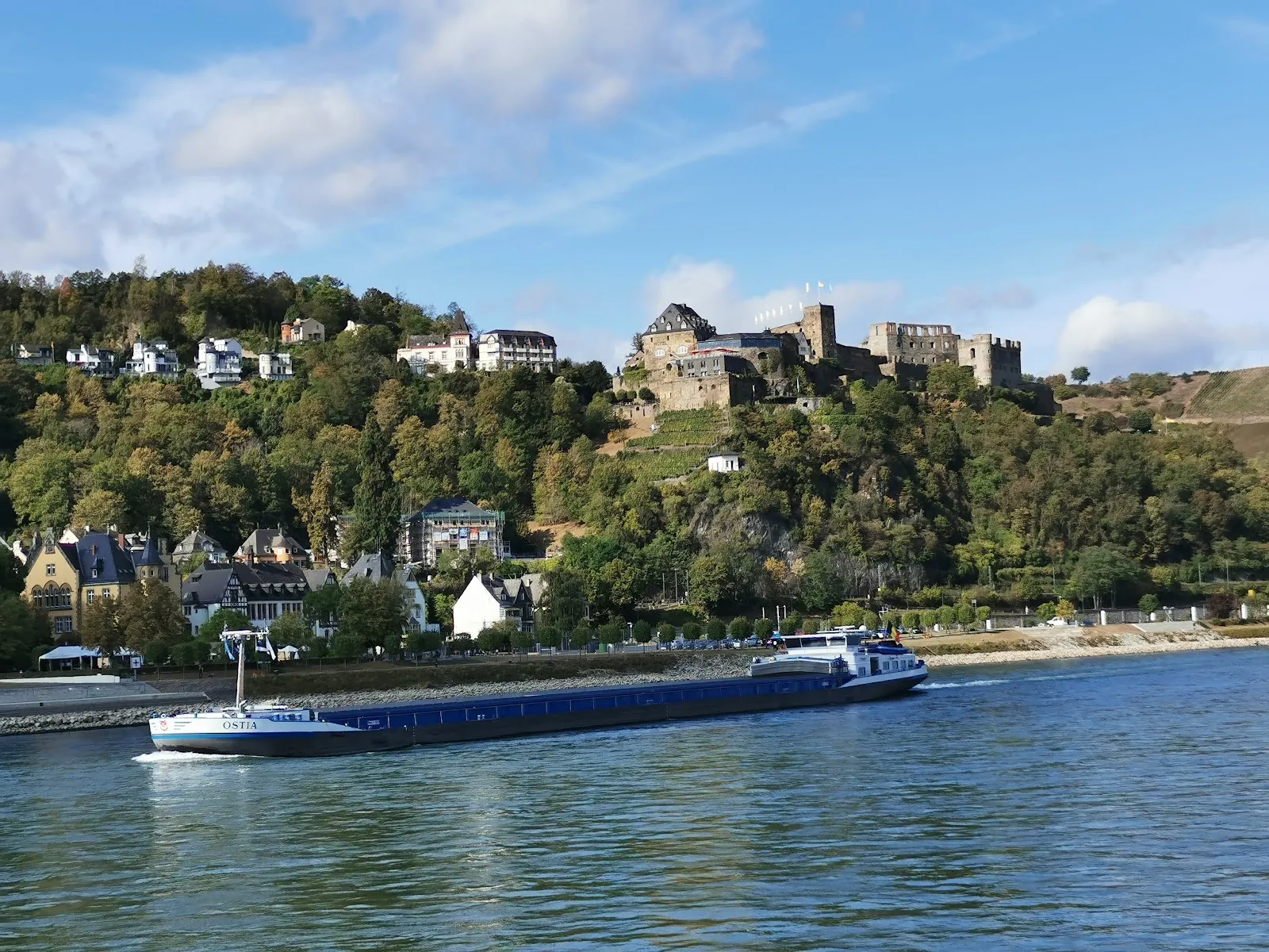 Вид на замок на Рейне, часть Тропы Рейнских Замков