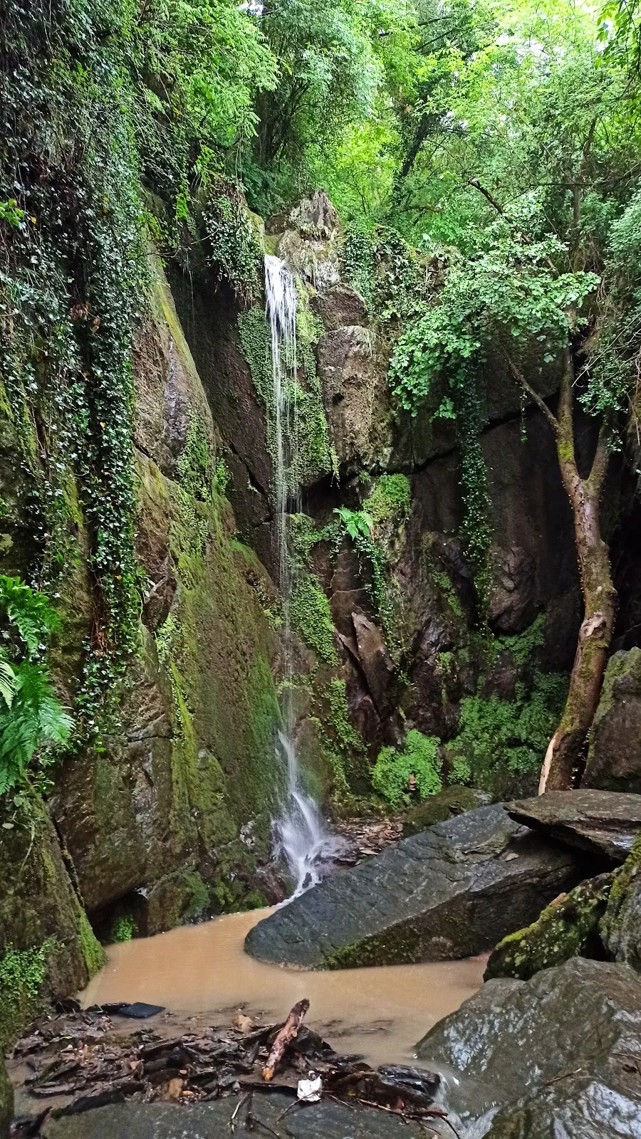 Вид на замок на Рейне, часть Тропы Рейнских Замков