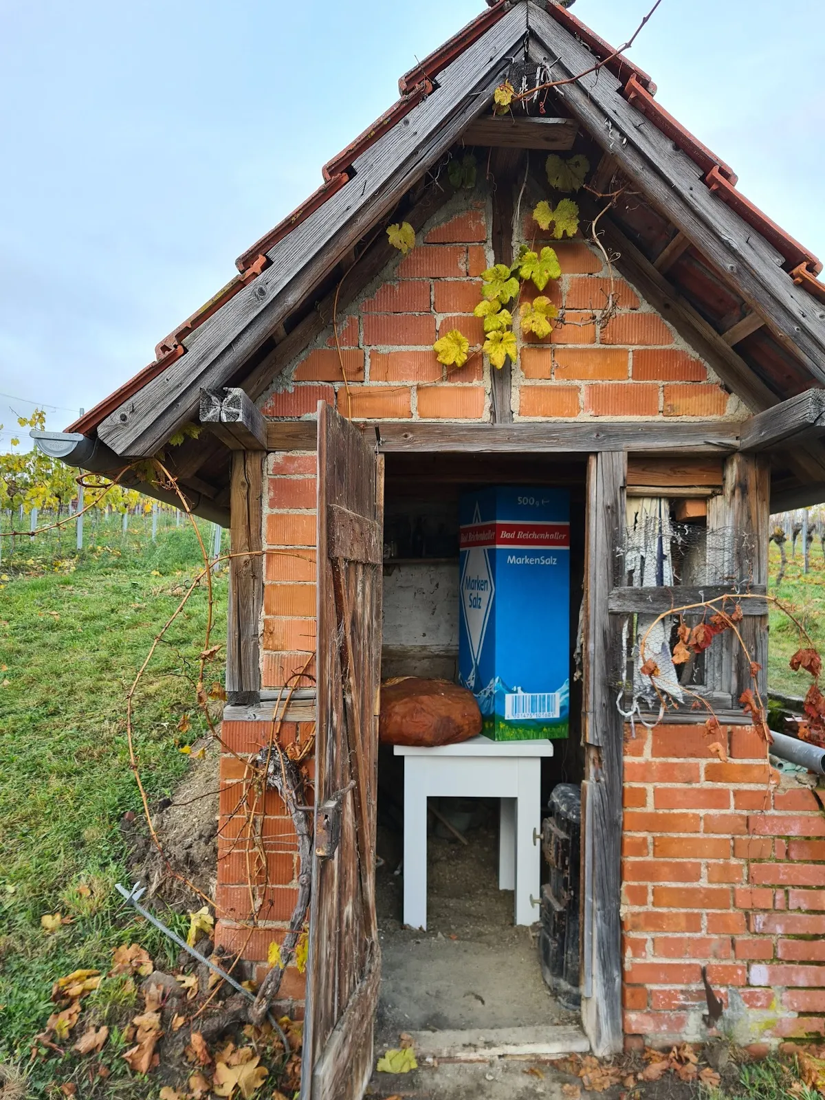 Вид на реку Мур в Германии