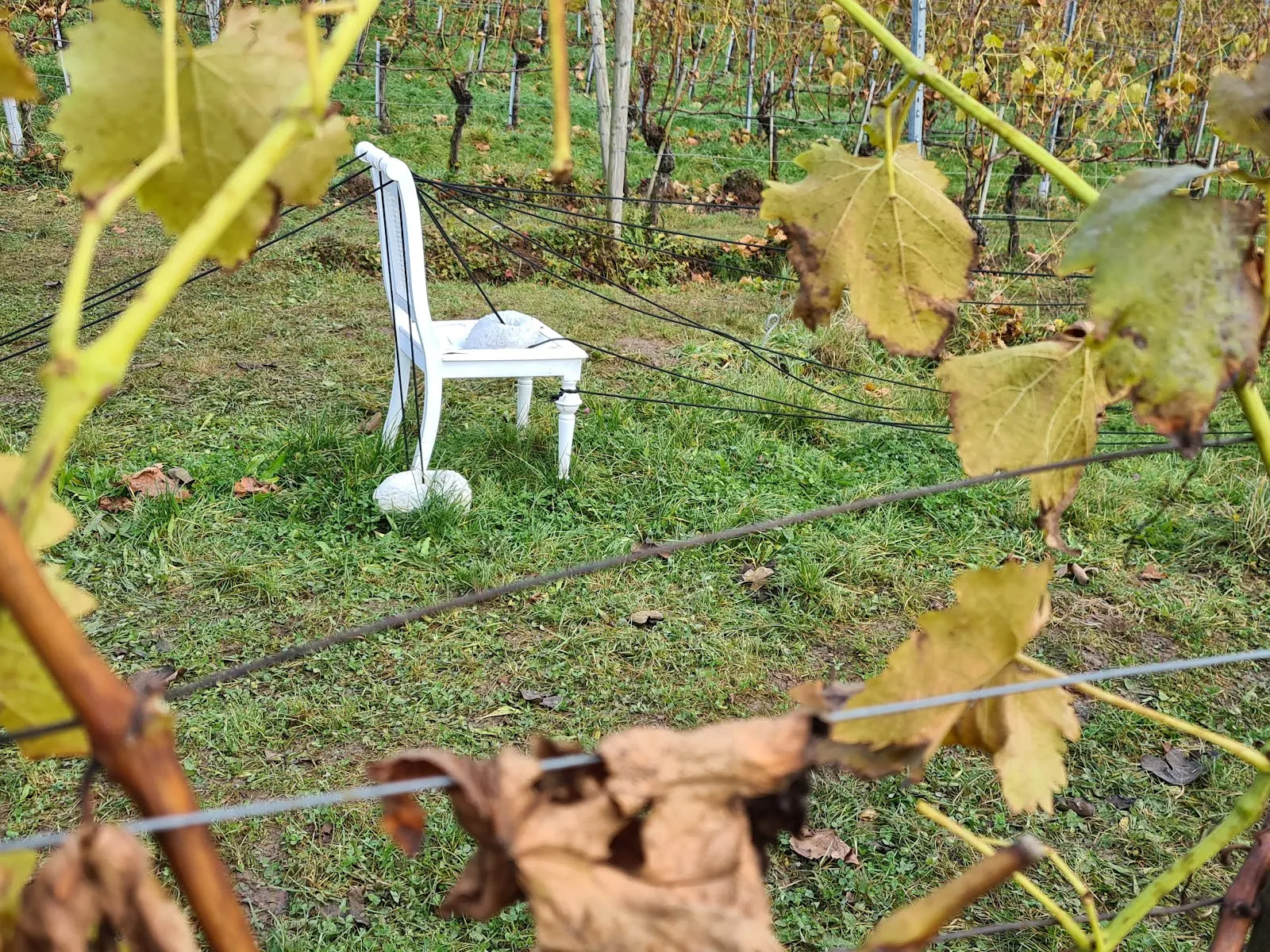 Вид на реку Мур в Германии