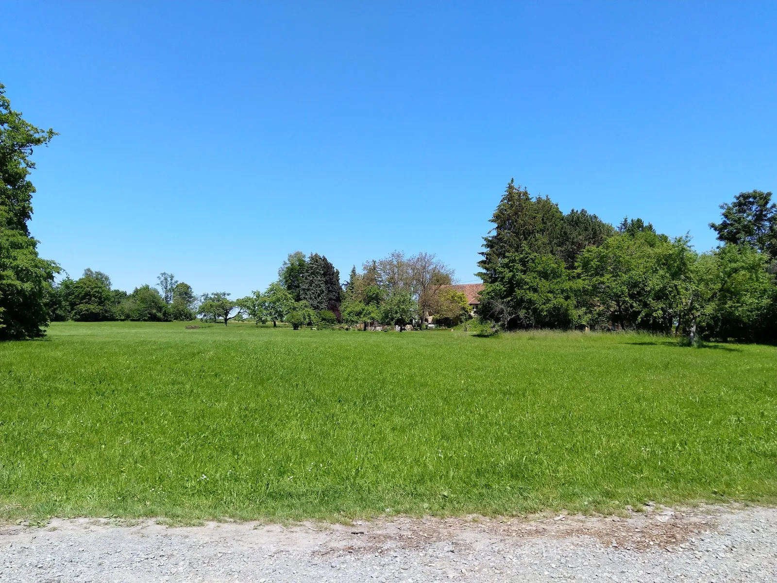 Вид на реку Мур в Германии