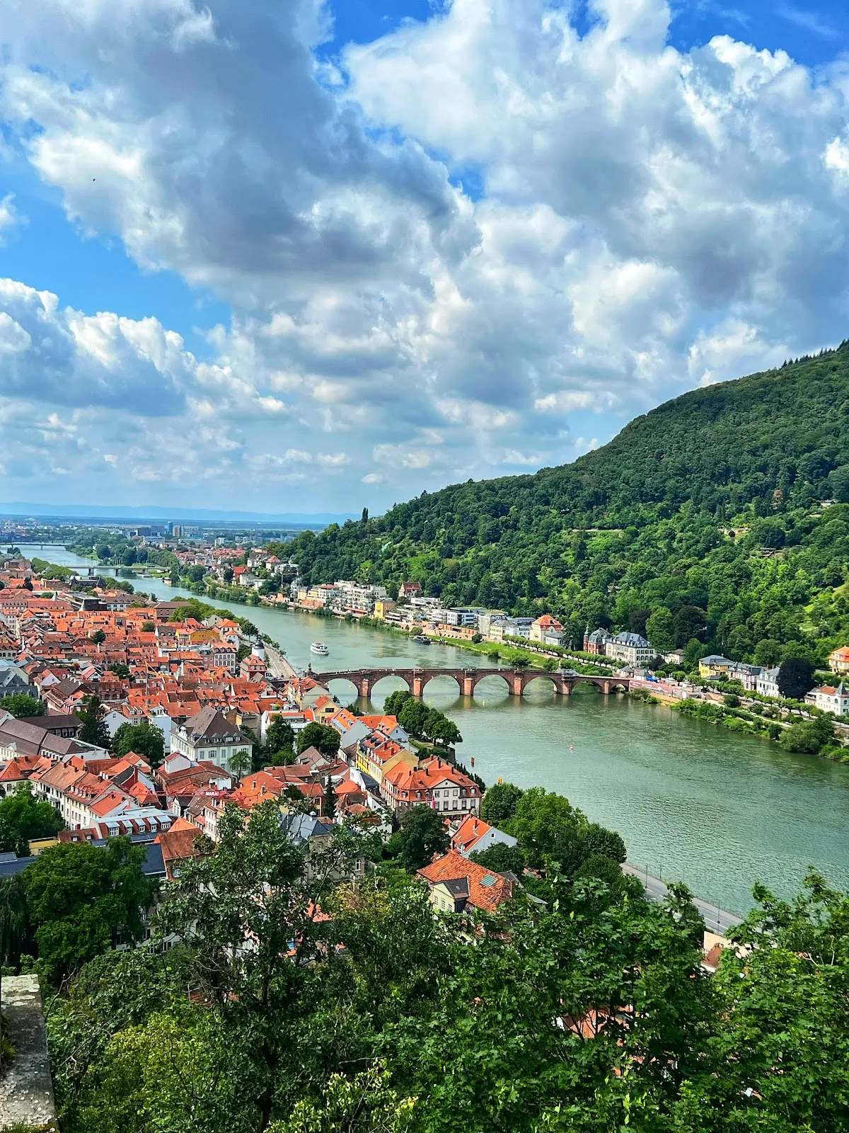 Река Неккар с зелеными берегами и мостом