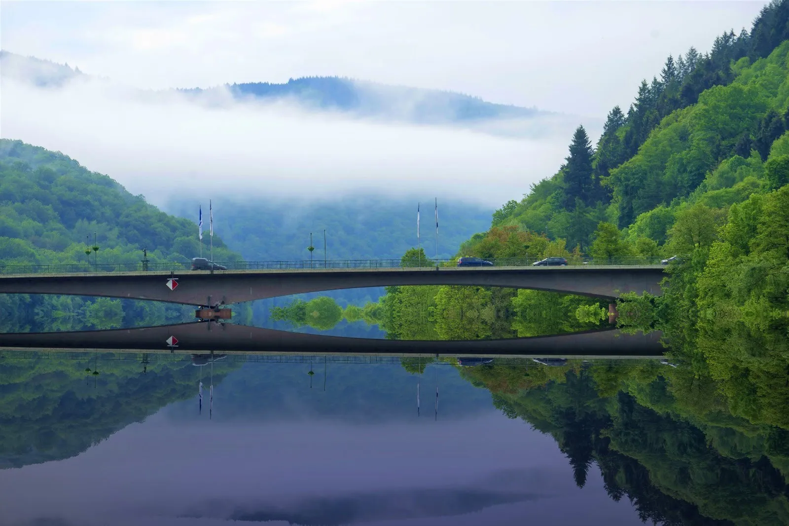 Река Неккар с зелеными берегами и мостом