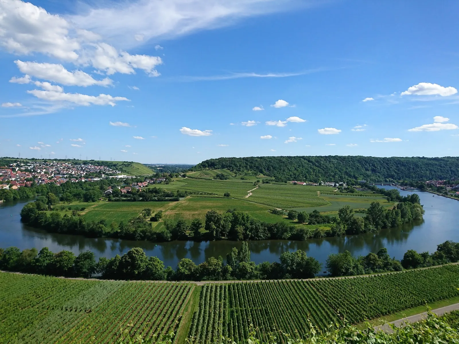 Река Неккар с зелеными берегами и мостом
