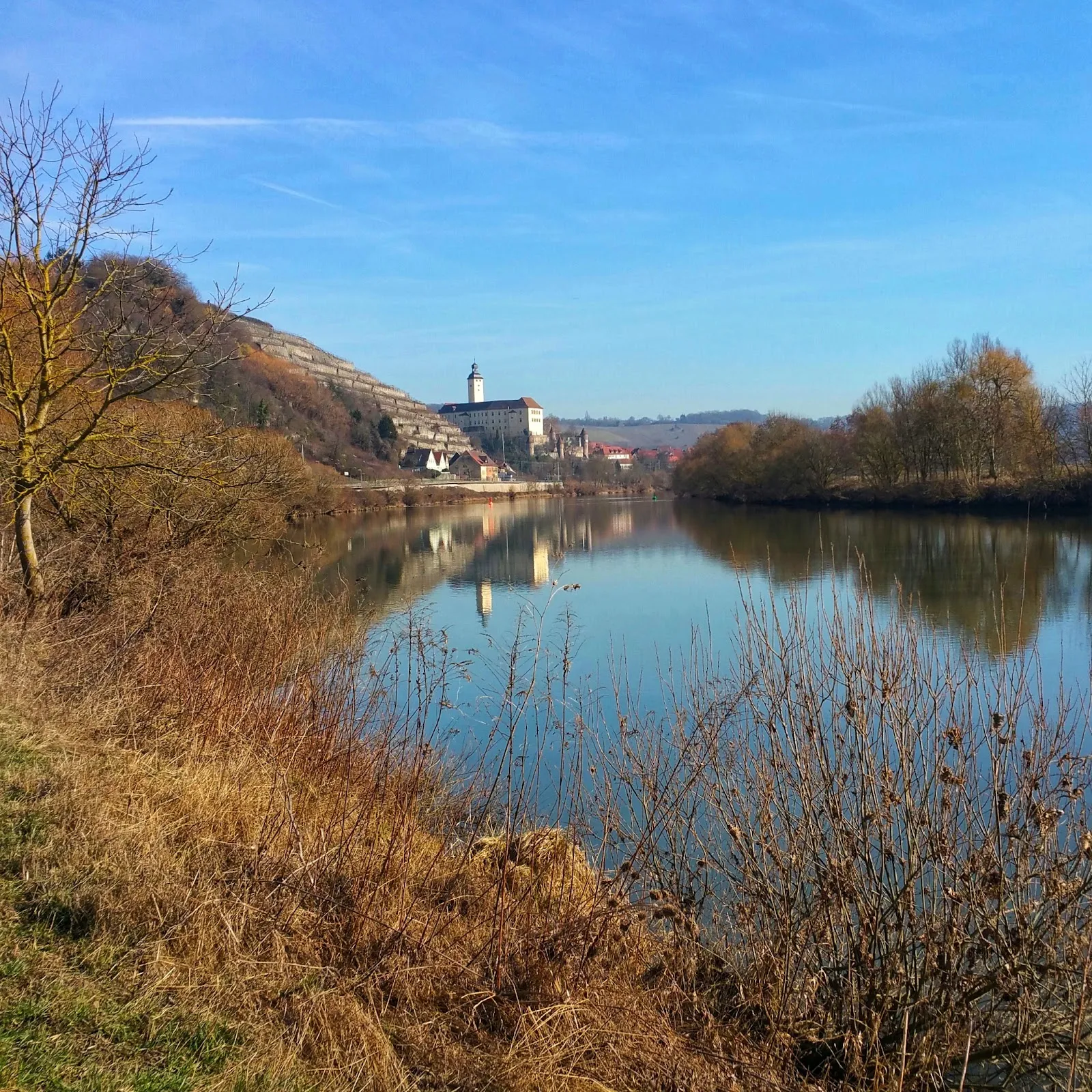Река Неккар с зелеными берегами и мостом