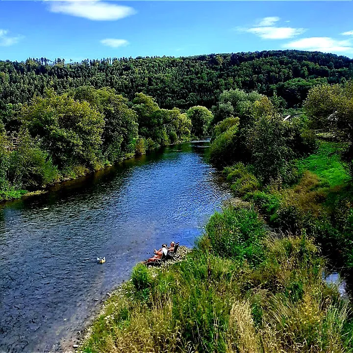 Река Неккар с зелеными берегами и мостом