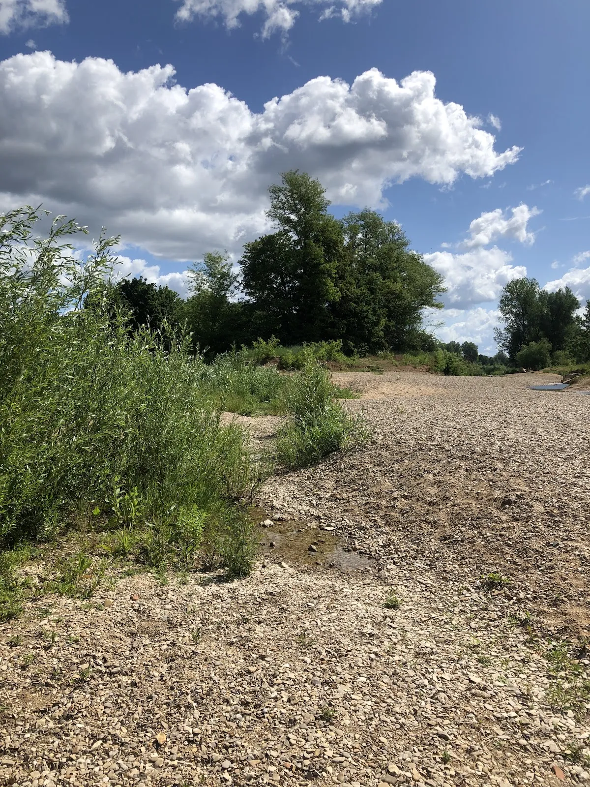 Ремс Ренатурингунг