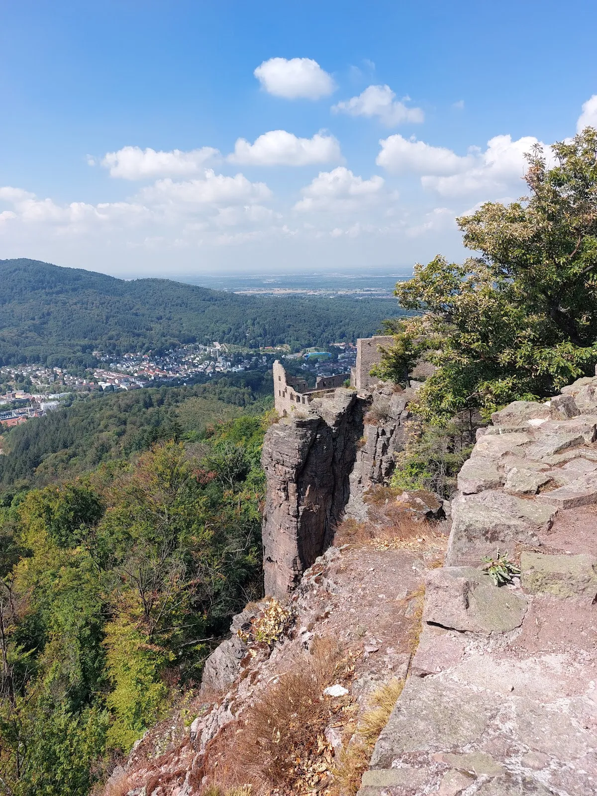 Риттерплатте