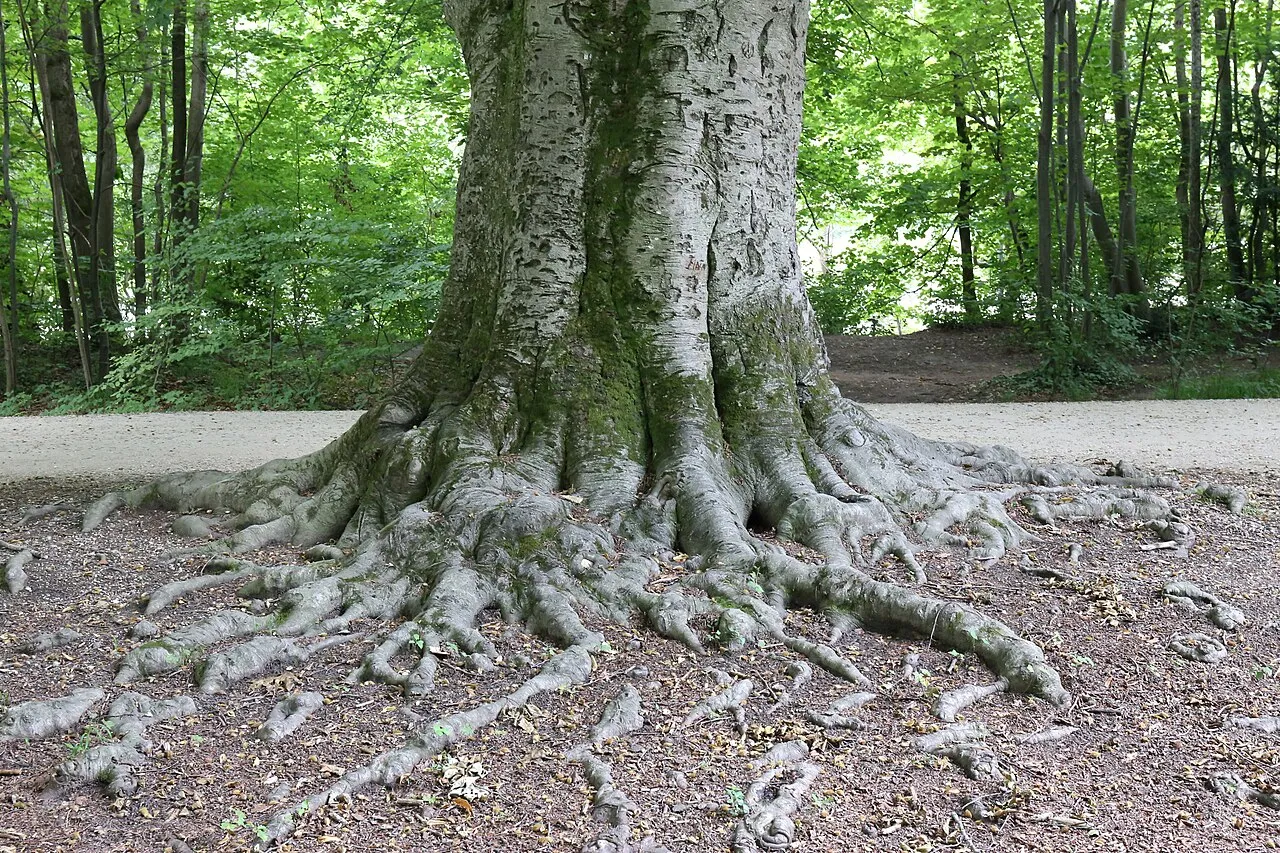 Гидротехнические сооружения Росбюх Флаухерлаген на реке Изар