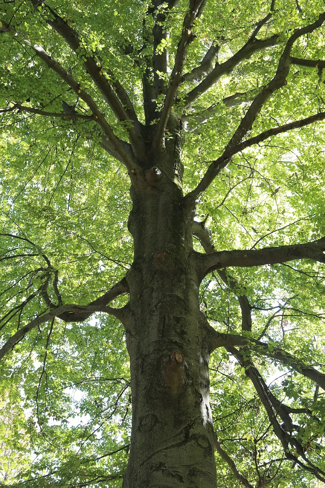 Гидротехнические сооружения Росбюх Флаухерлаген на реке Изар