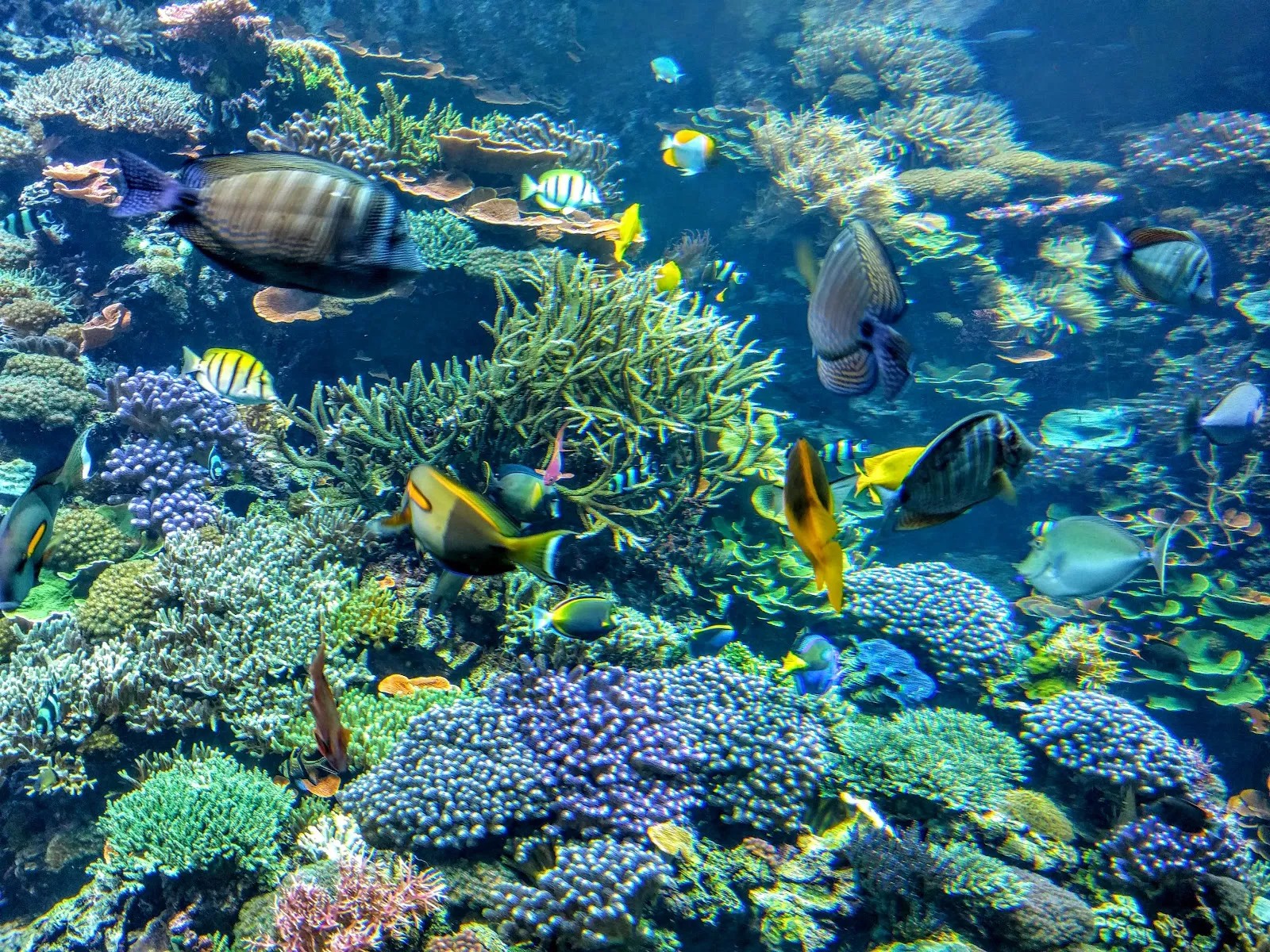 Ростокский зоопарк – дом для множества животных.